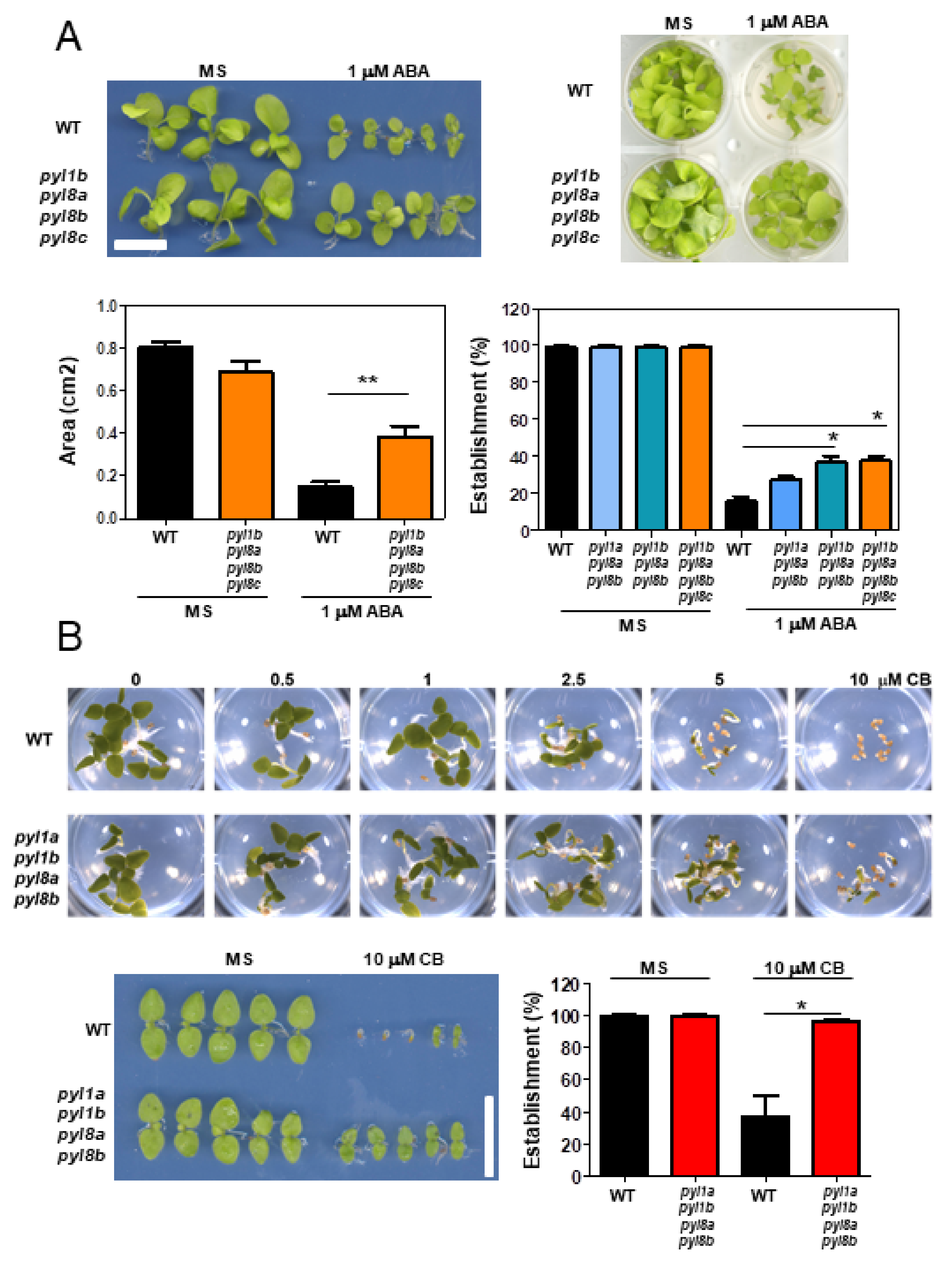 Cells 11 00795 g005 Cells 11 00795 g005