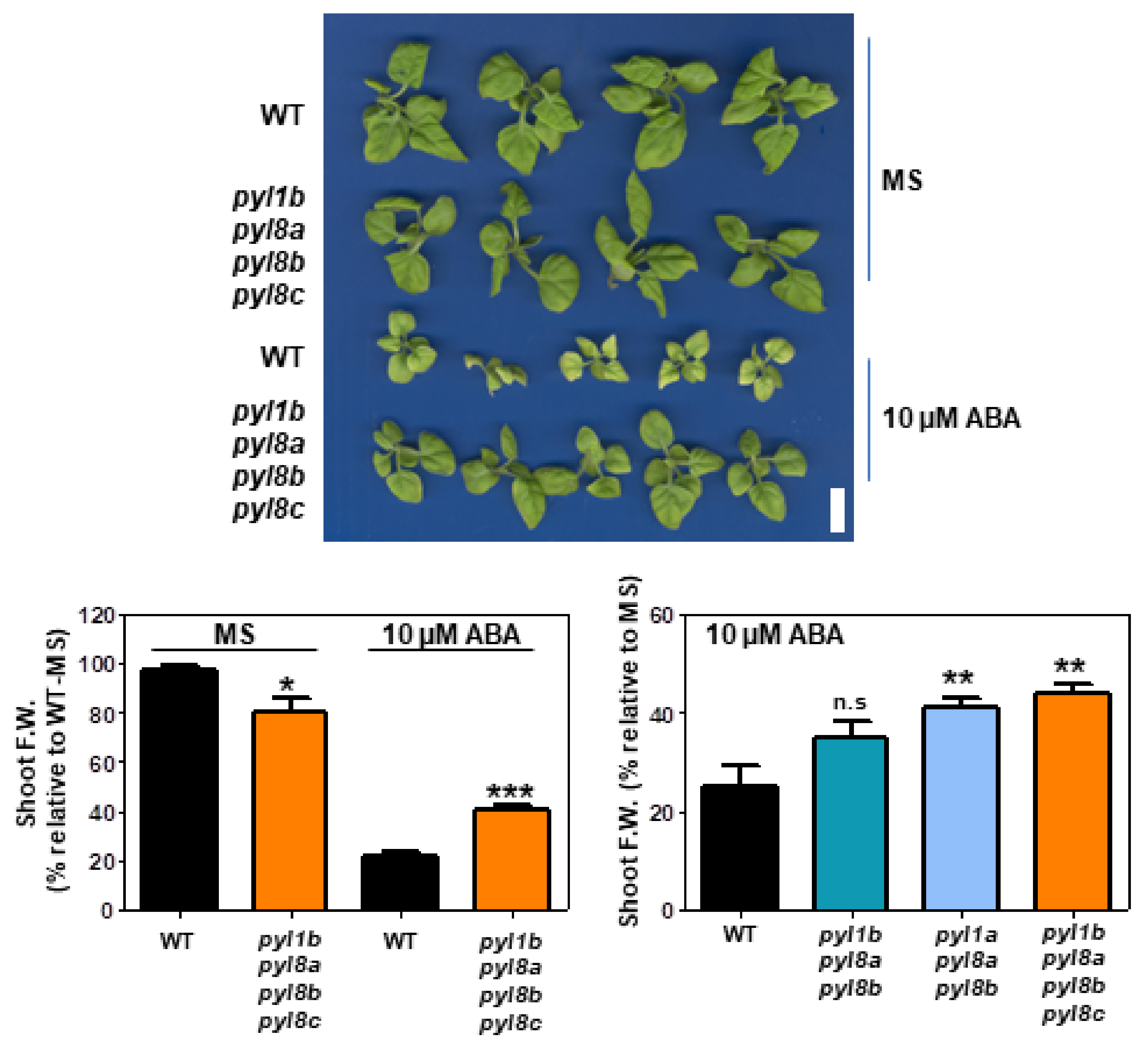 Cells 11 00795 g007 Cells 11 00795 g007