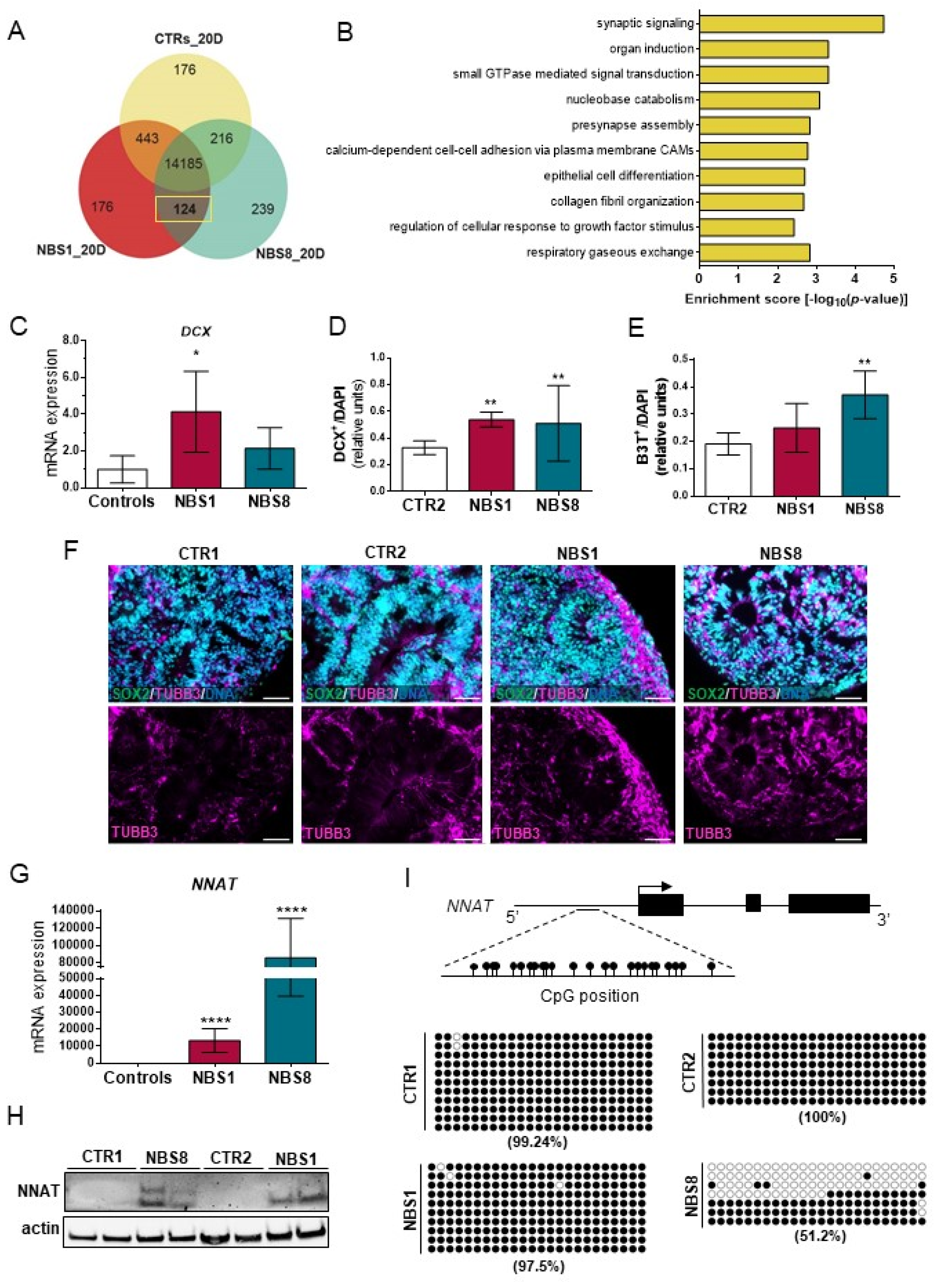 Cells 11 00802 g005 Cells 11 00802 g005