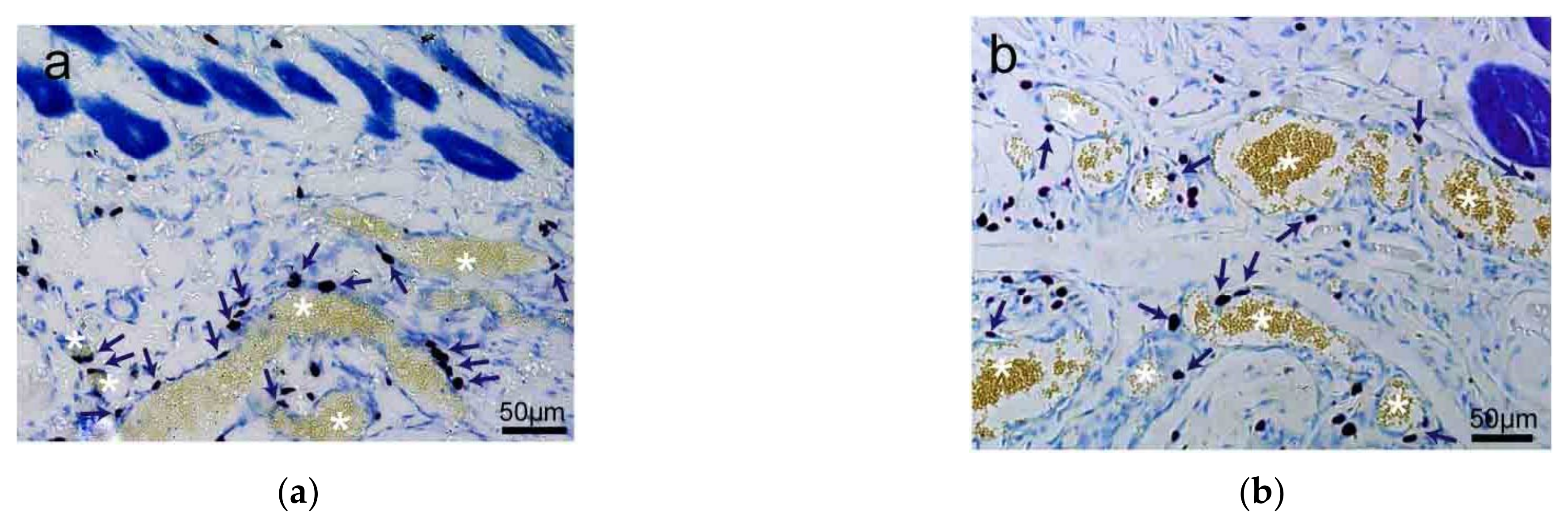 Cells 11 00809 g003a