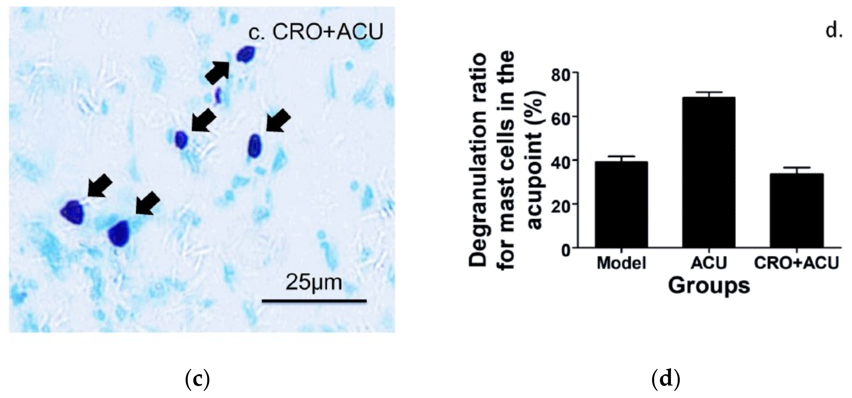 Cells 11 00809 g005b