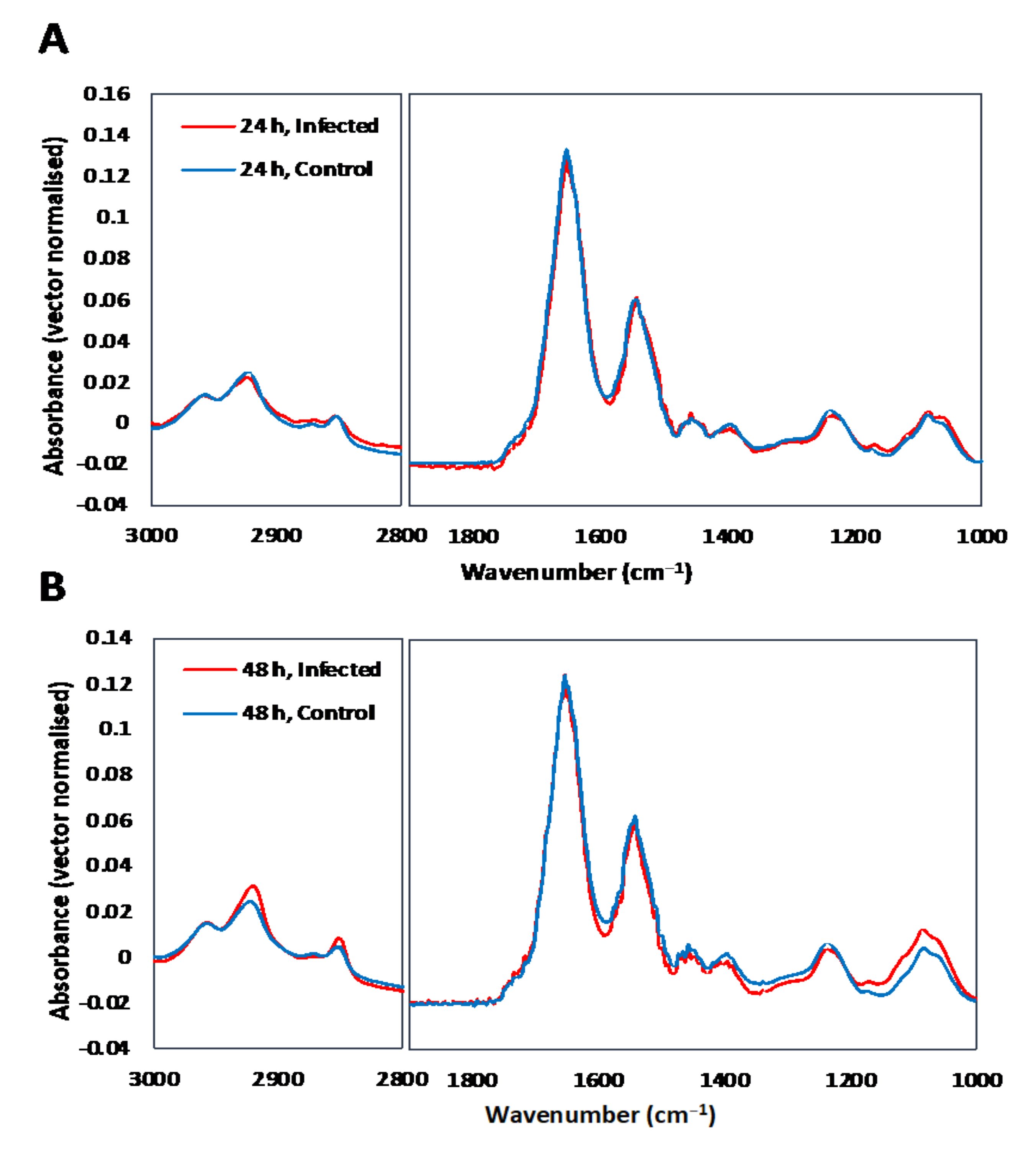 Cells 11 00811 g001a