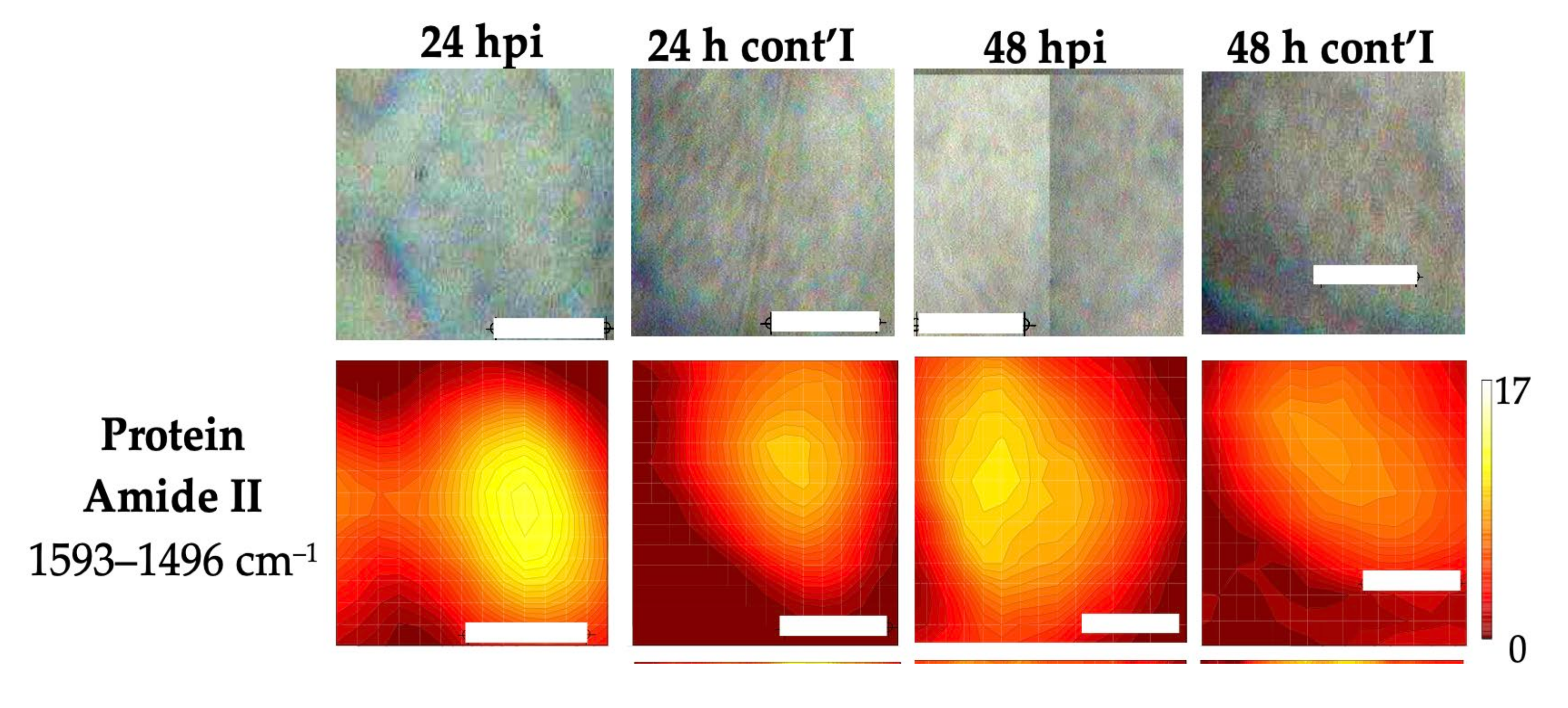 Cells 11 00811 g003a