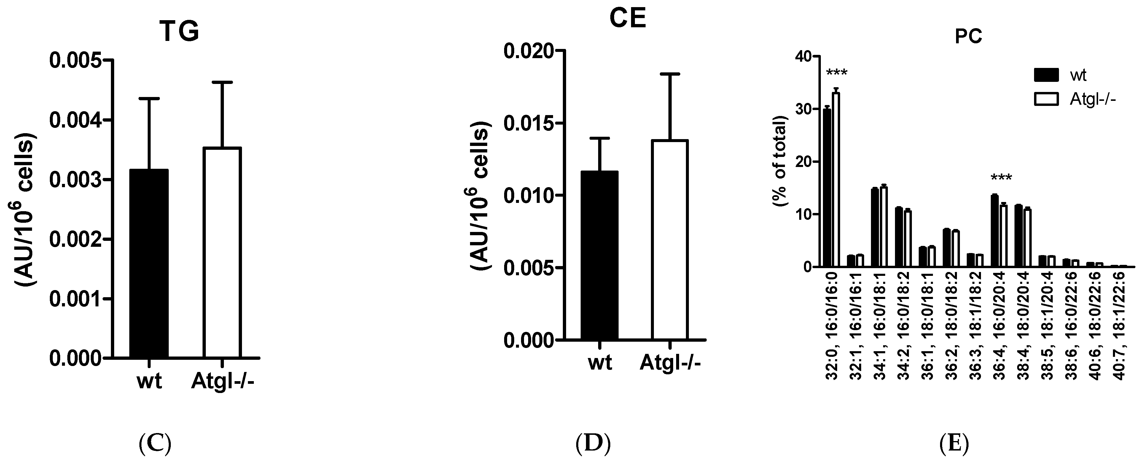 Cells 11 00850 g002b