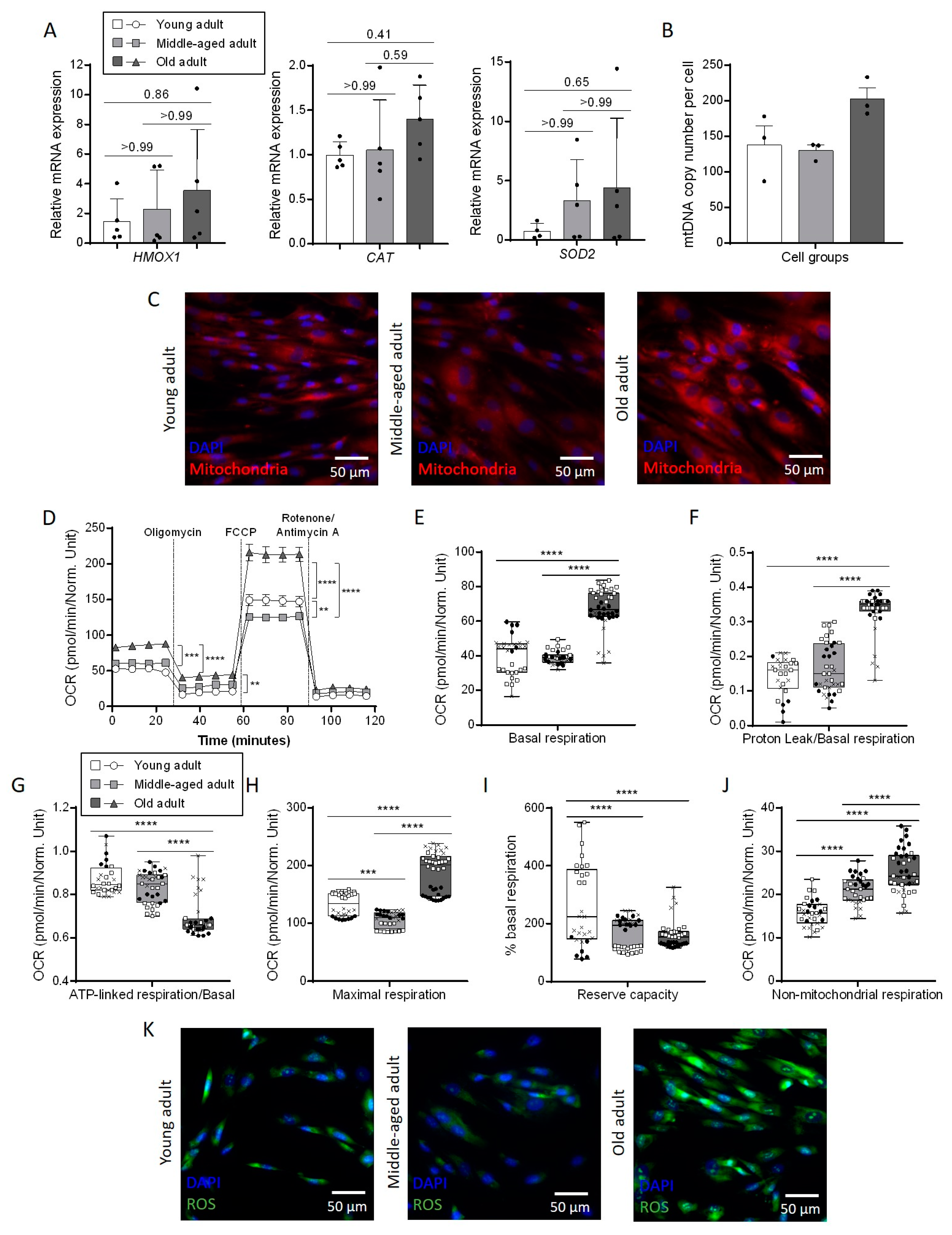 Cells 11 00858 g004