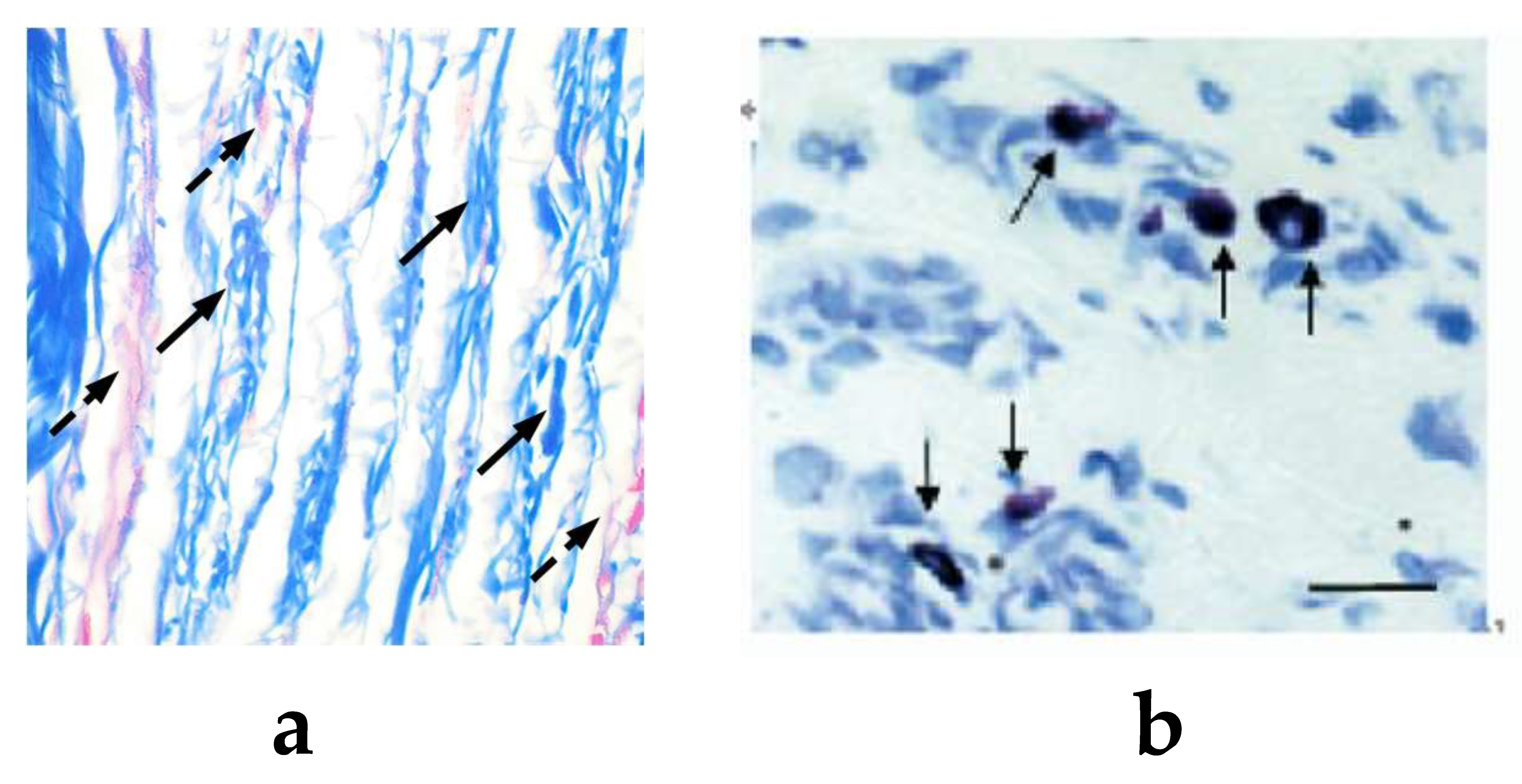 Cells 11 00860 g002 Cells 11 00860 g002