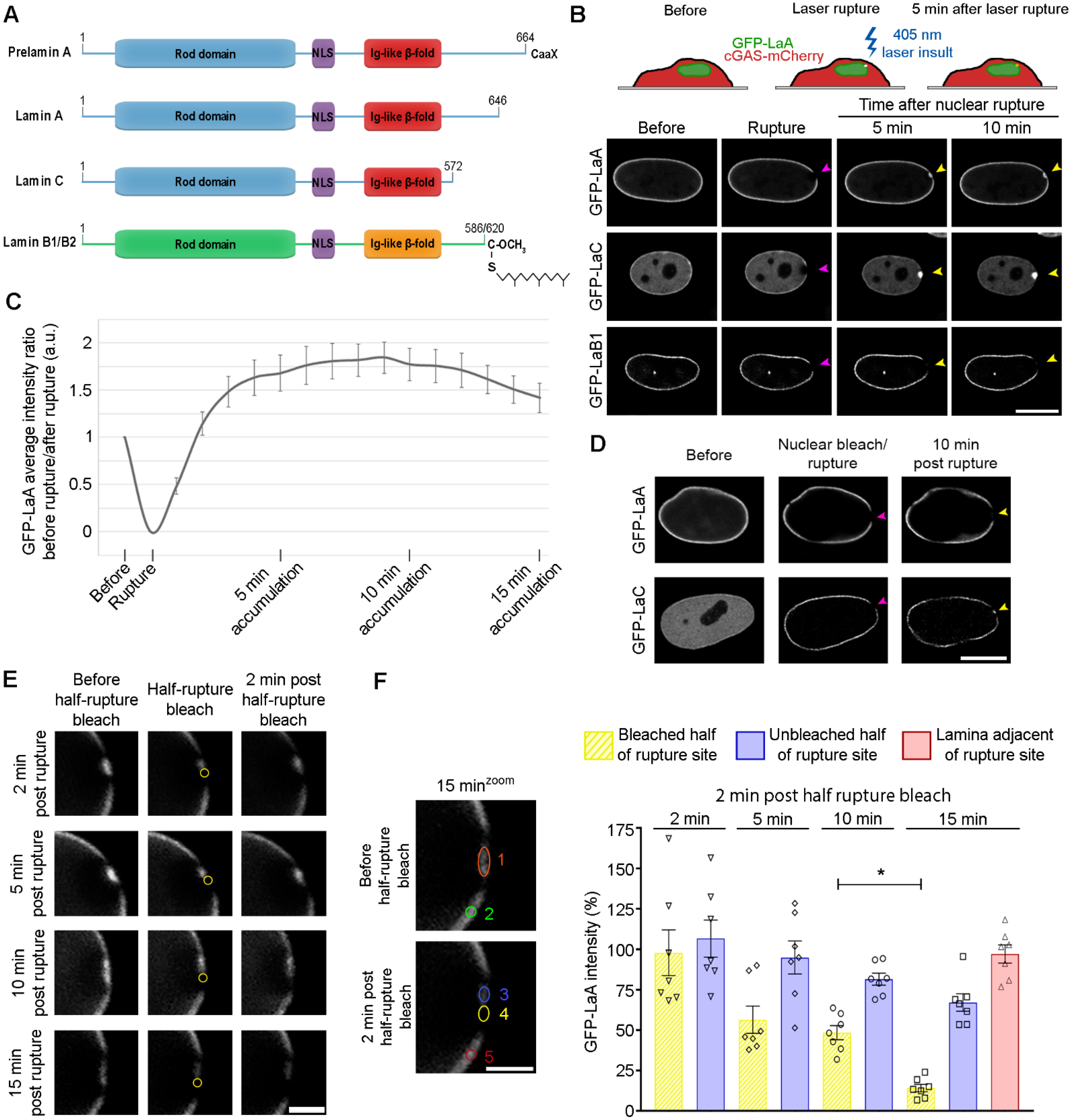 Cells 11 00865 g001 Cells 11 00865 g001