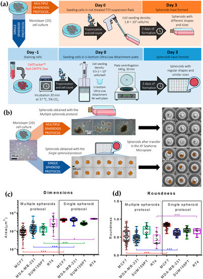 Cells 11 00866 g001 550