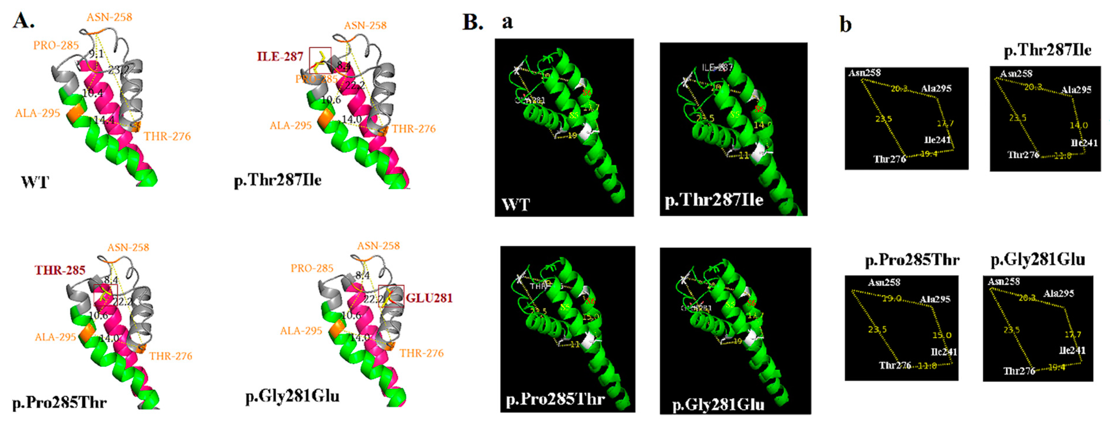 Cells 11 00894 g008 Cells 11 00894 g008