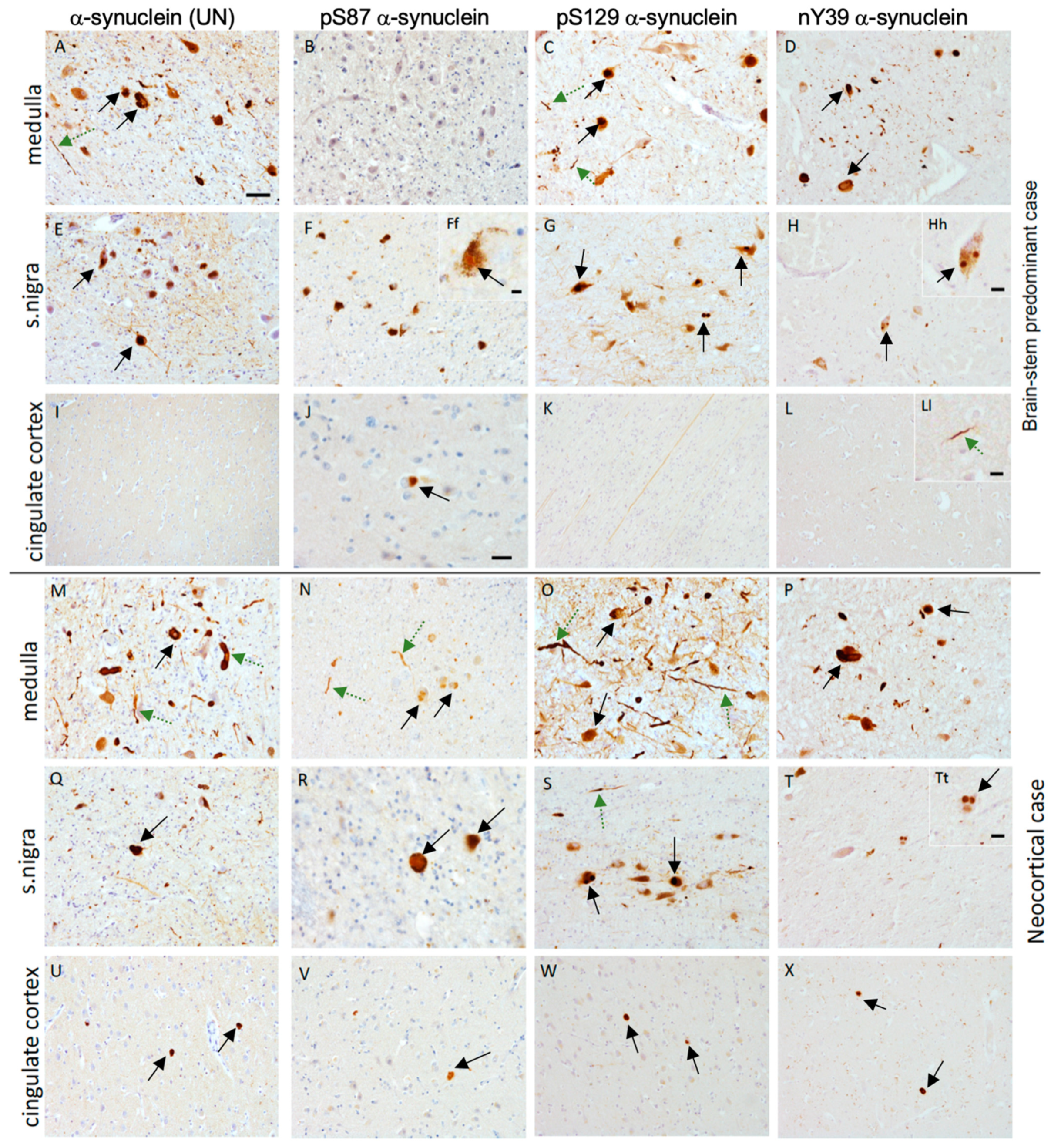 Cells 11 00906 g001 Cells 11 00906 g001