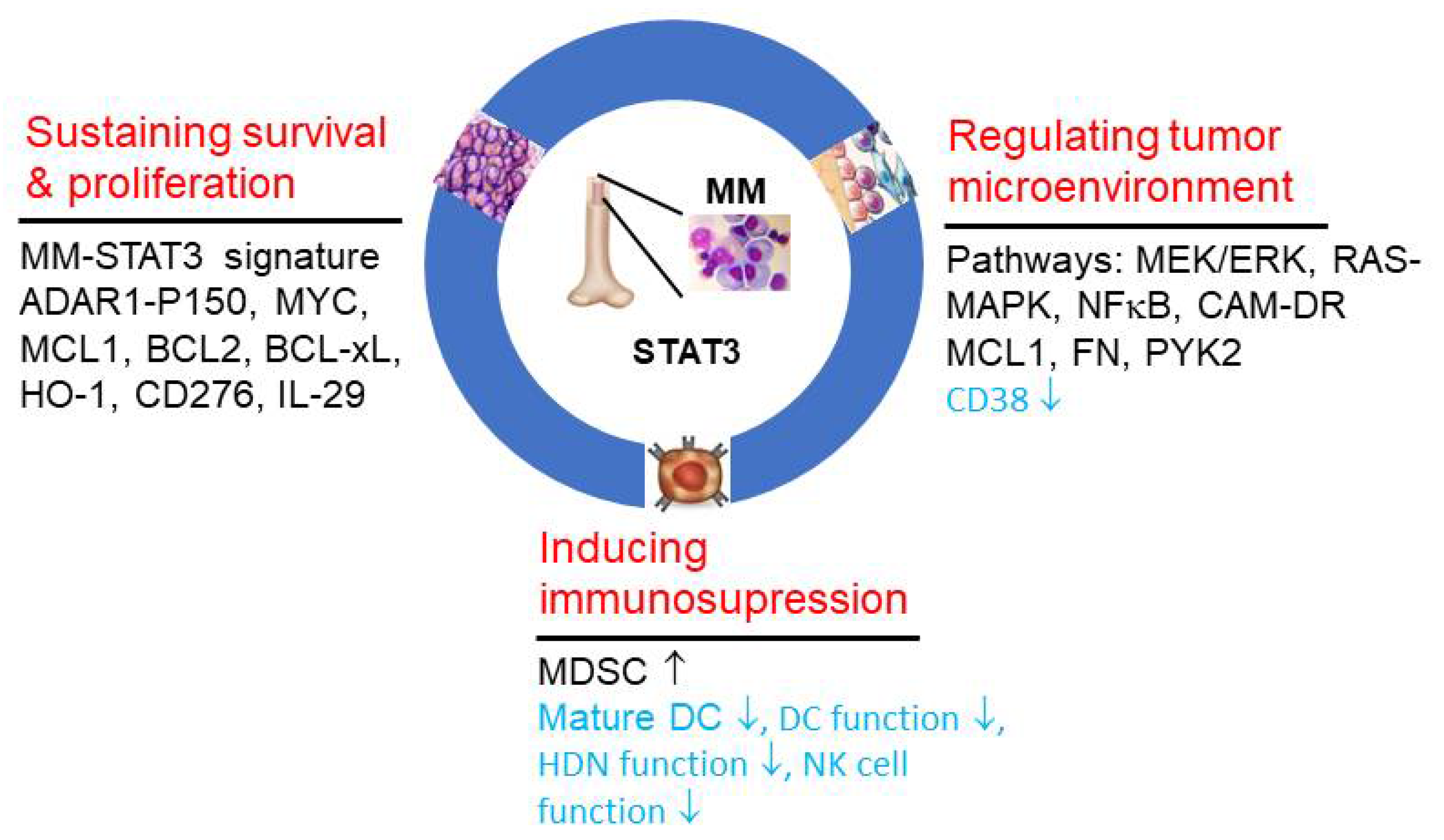 Cells 11 00941 g002 Cells 11 00941 g002