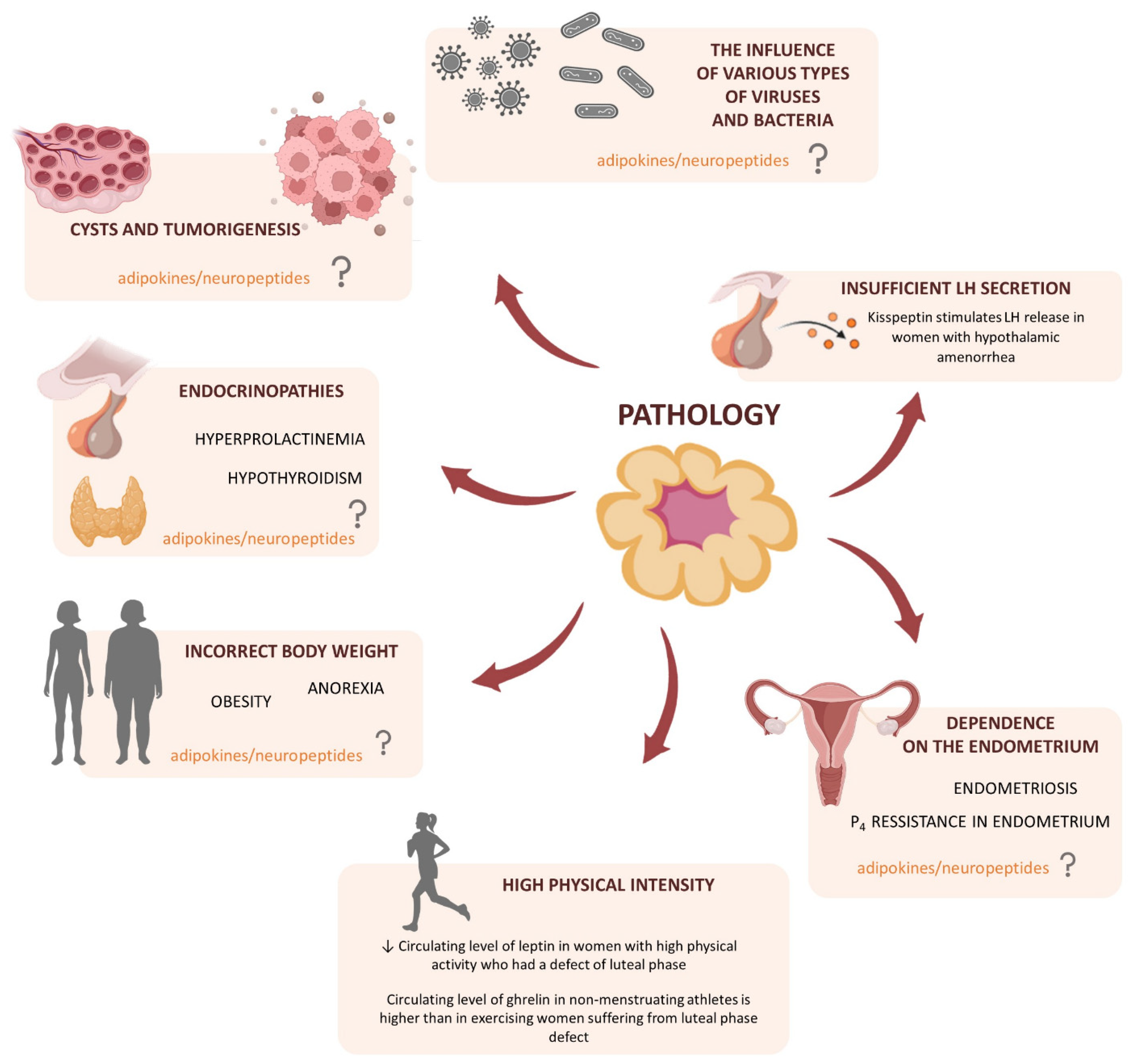 Cells 11 00957 g003 Cells 11 00957 g003