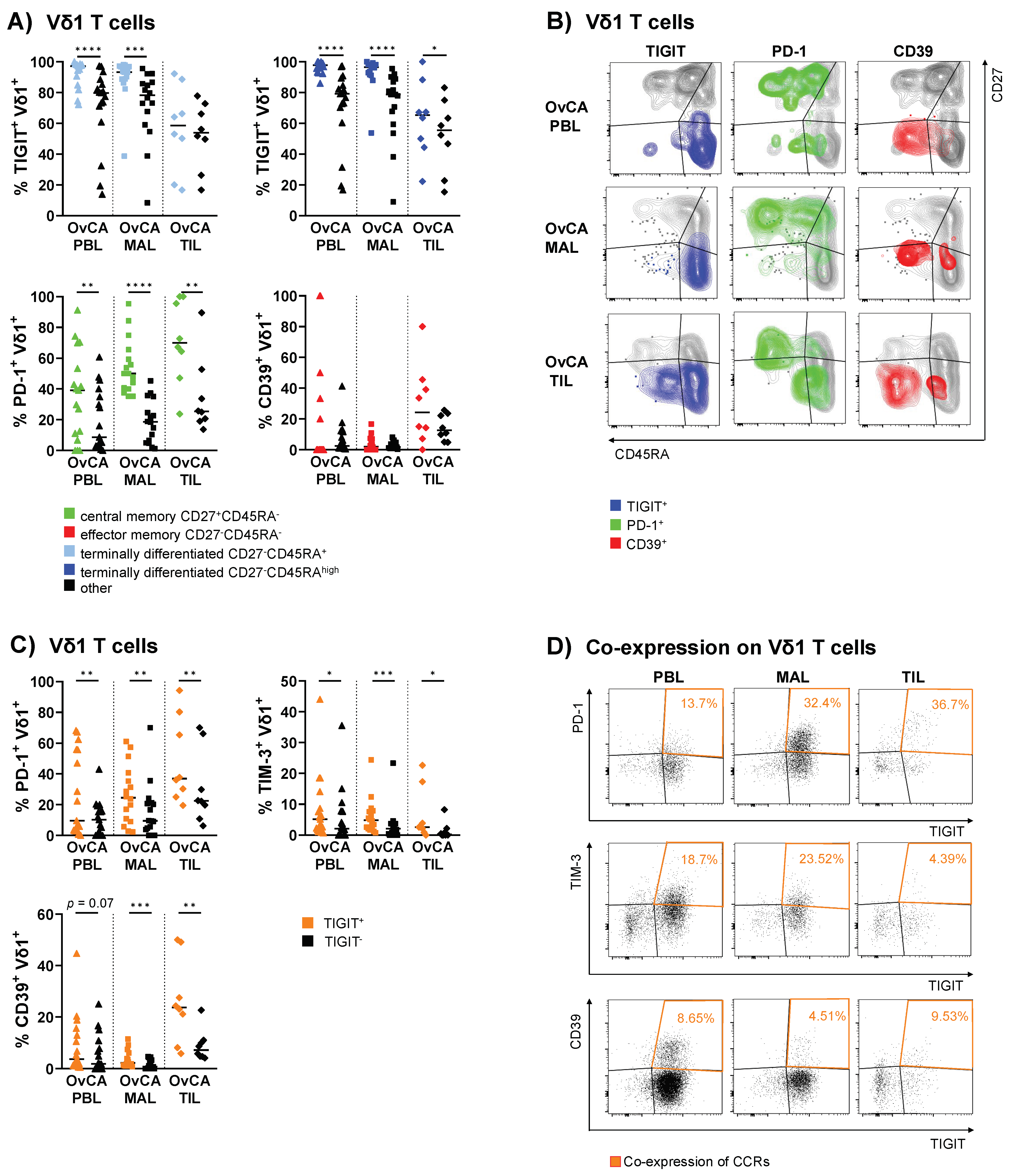 Cells 11 00964 g004 Cells 11 00964 g004