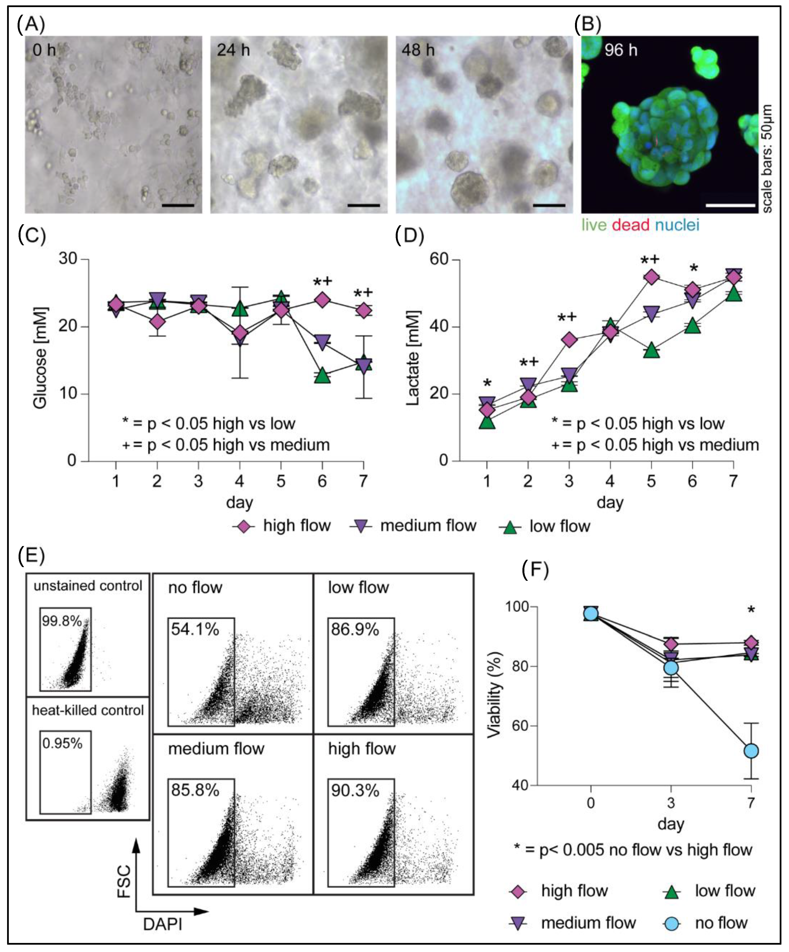 Cells 11 00967 g002