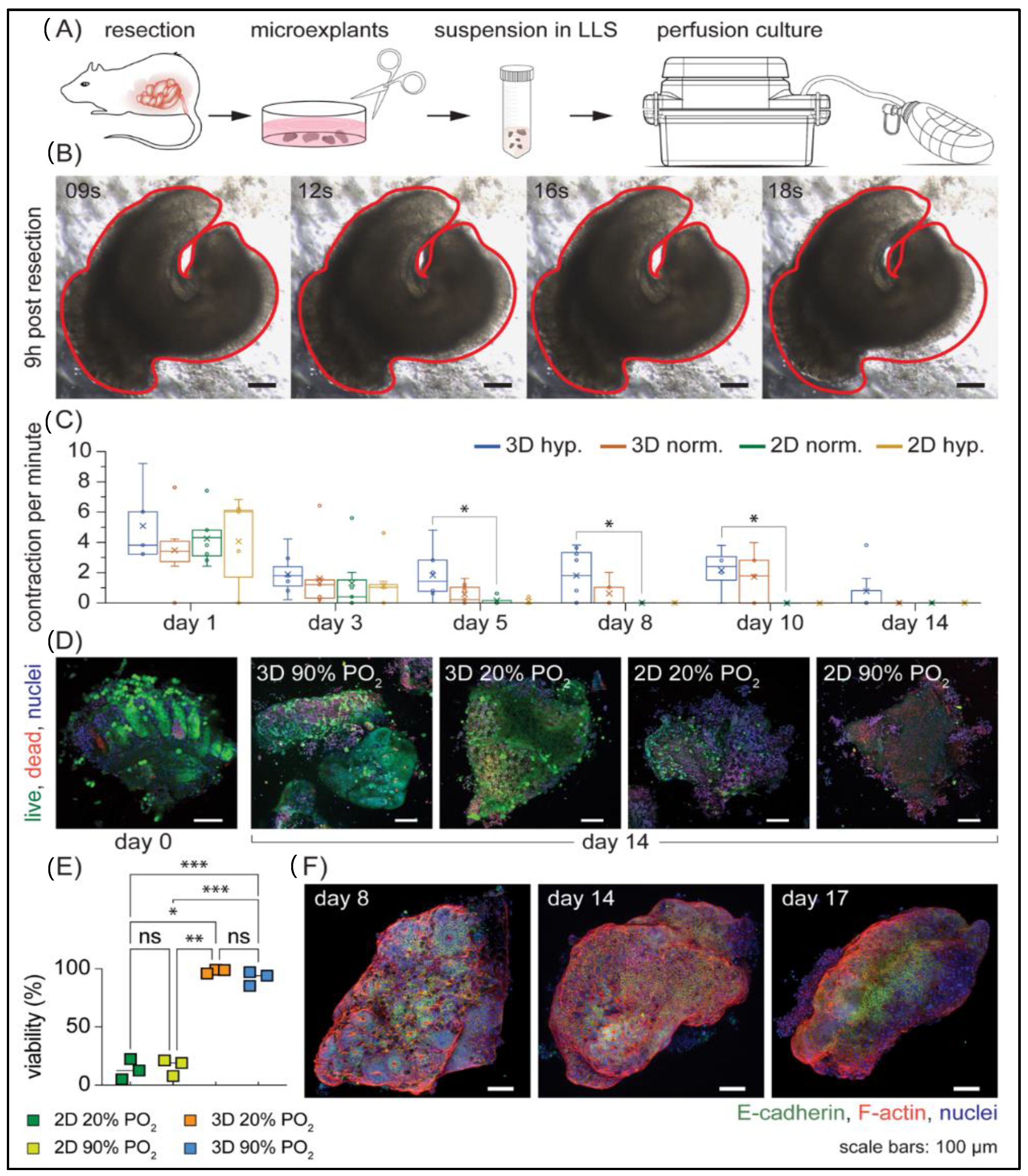Cells 11 00967 g003