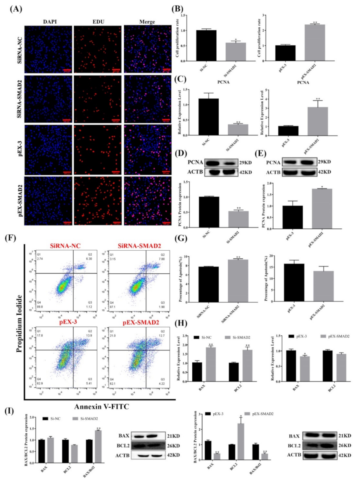 Cells 11 00985 g007 Cells 11 00985 g007