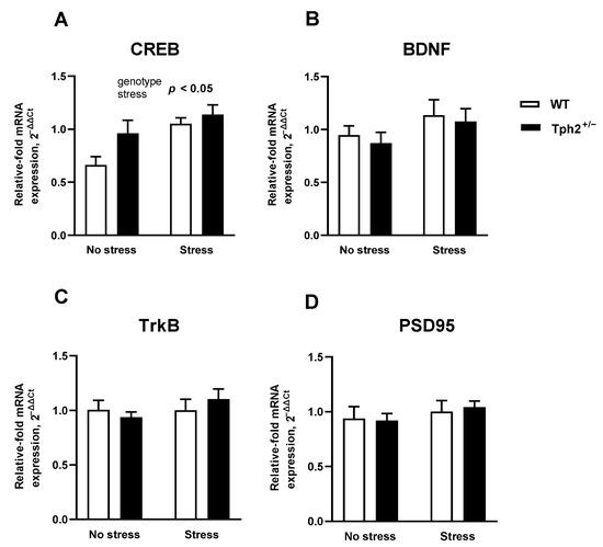 Cells 11 01036 g0a2 Cells 11 01036 g0a2
