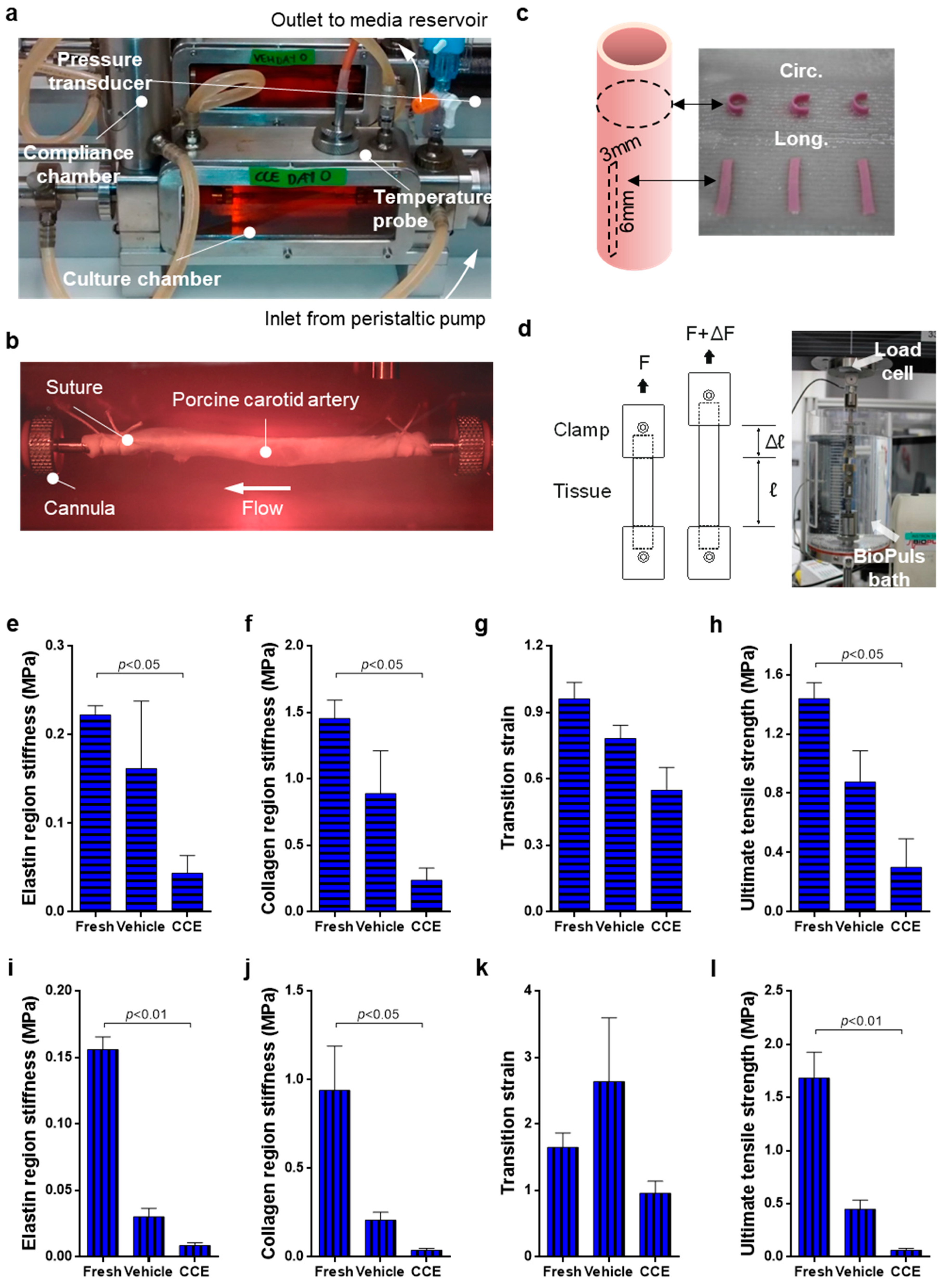 Cells 11 01043 g001 Cells 11 01043 g001