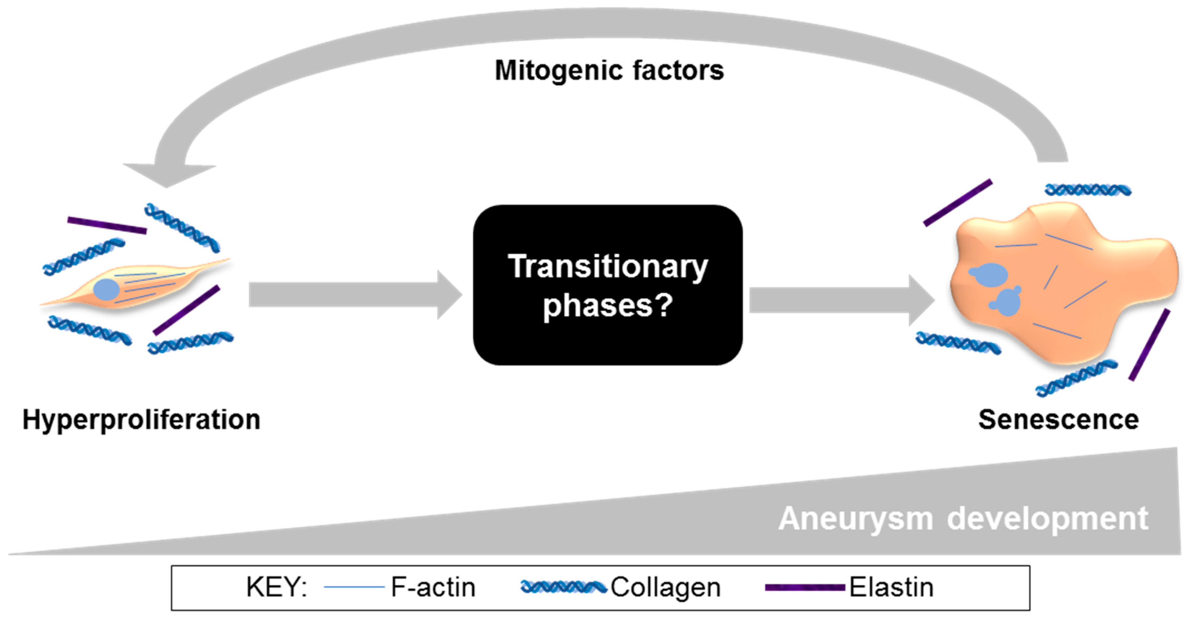 Cells 11 01043 g006 Cells 11 01043 g006