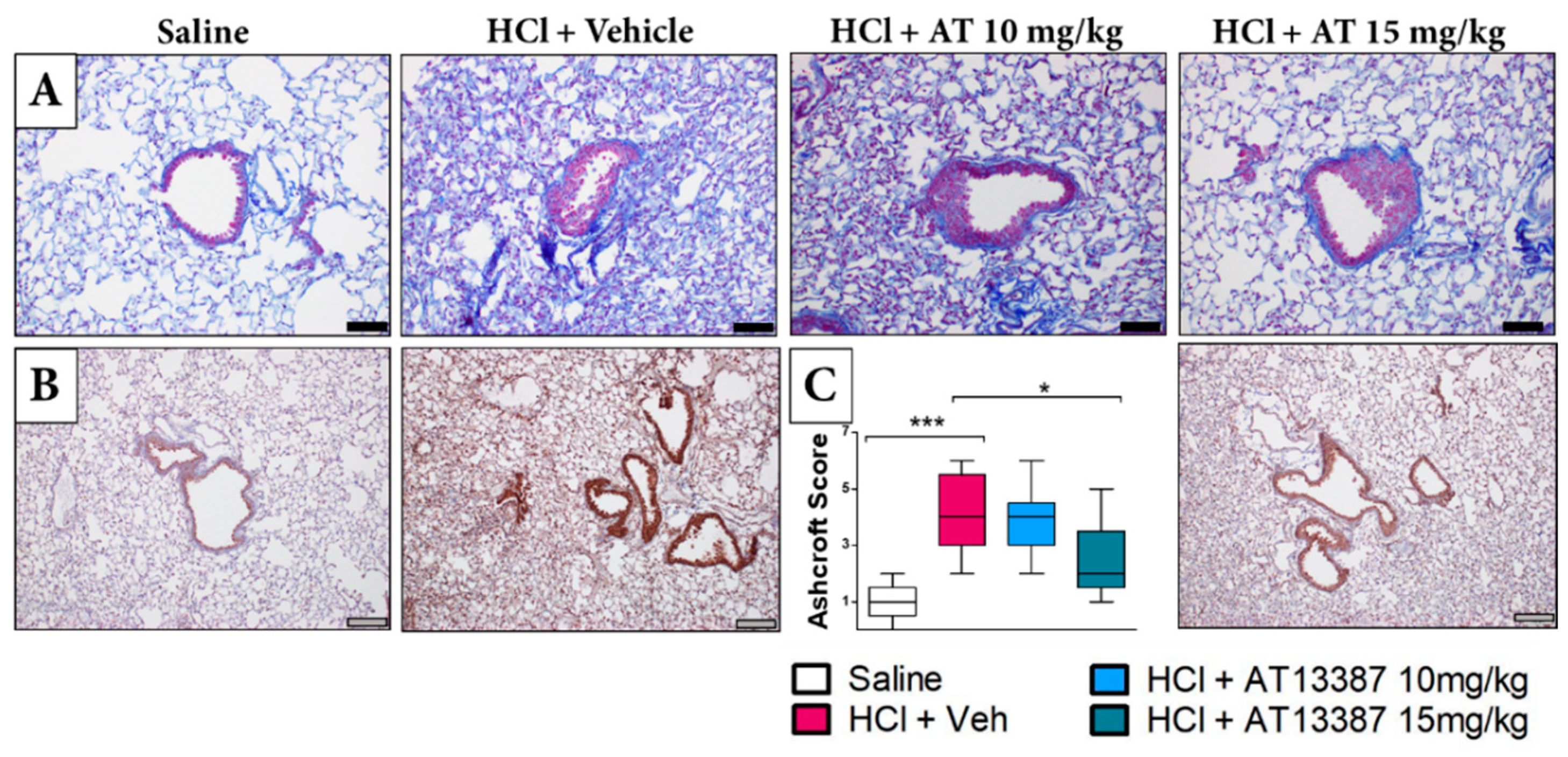 Cells 11 01046 g002 Cells 11 01046 g002