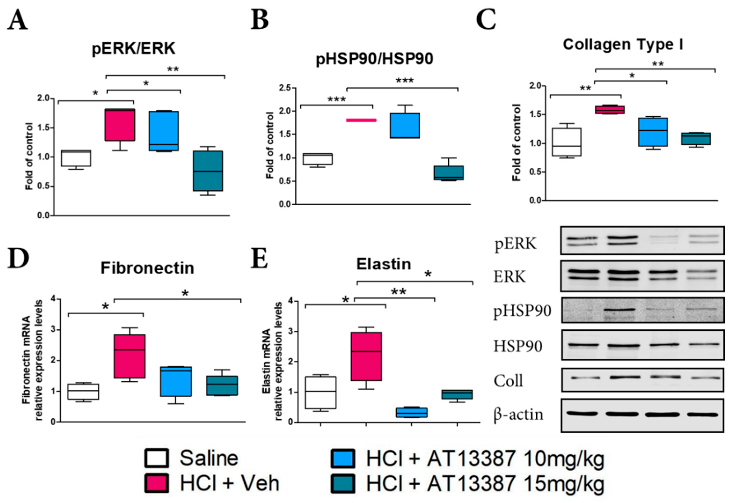 Cells 11 01046 g003 Cells 11 01046 g003