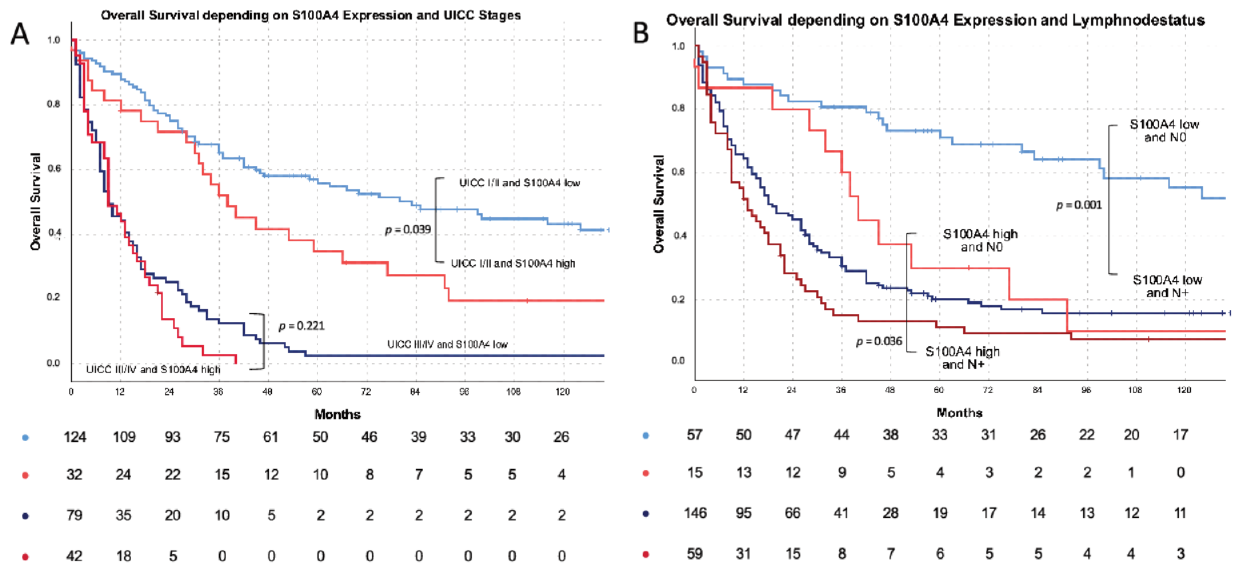 Cells 11 01056 g003a Cells 11 01056 g003a