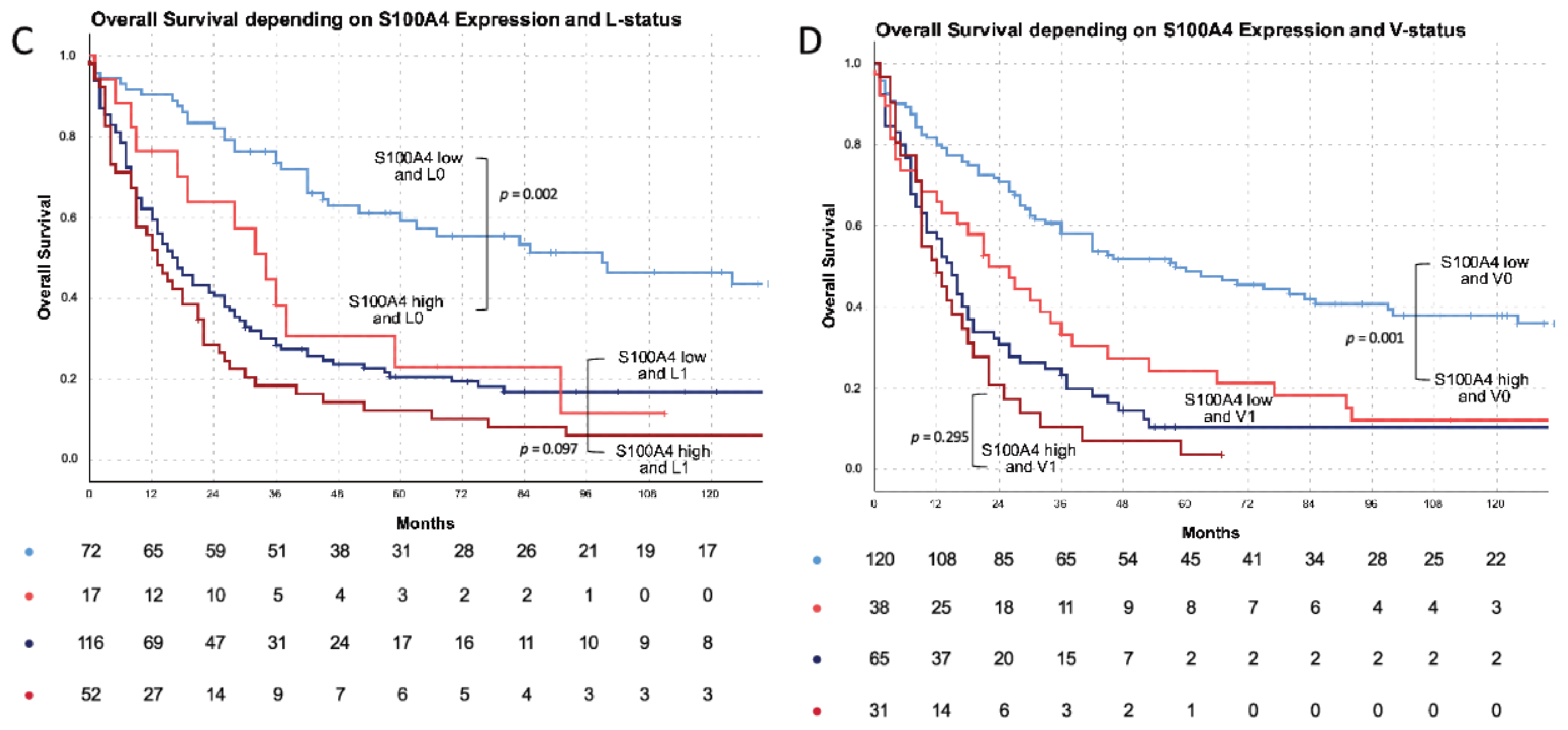 Cells 11 01056 g003b Cells 11 01056 g003b