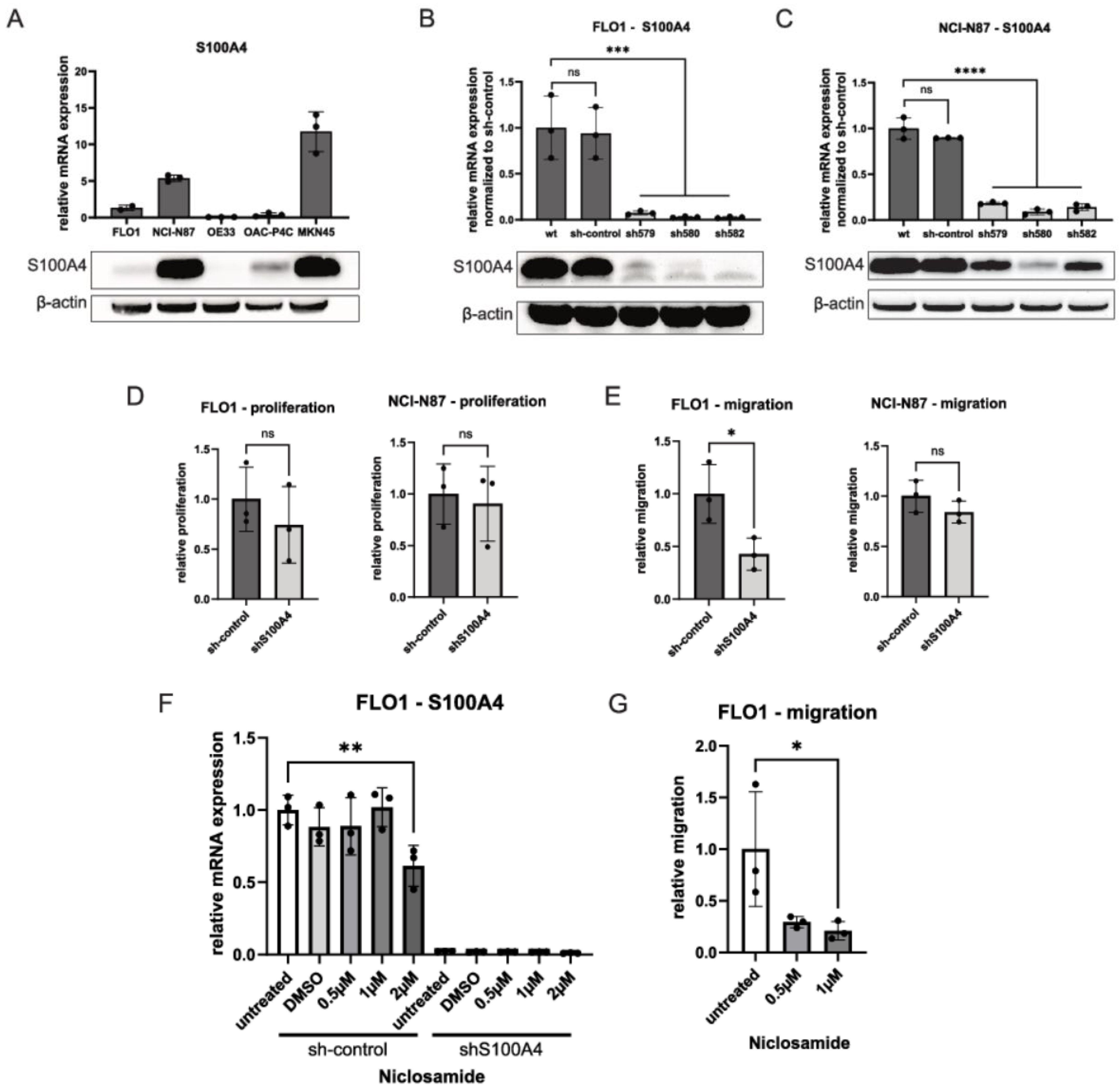 Cells 11 01056 g004 Cells 11 01056 g004