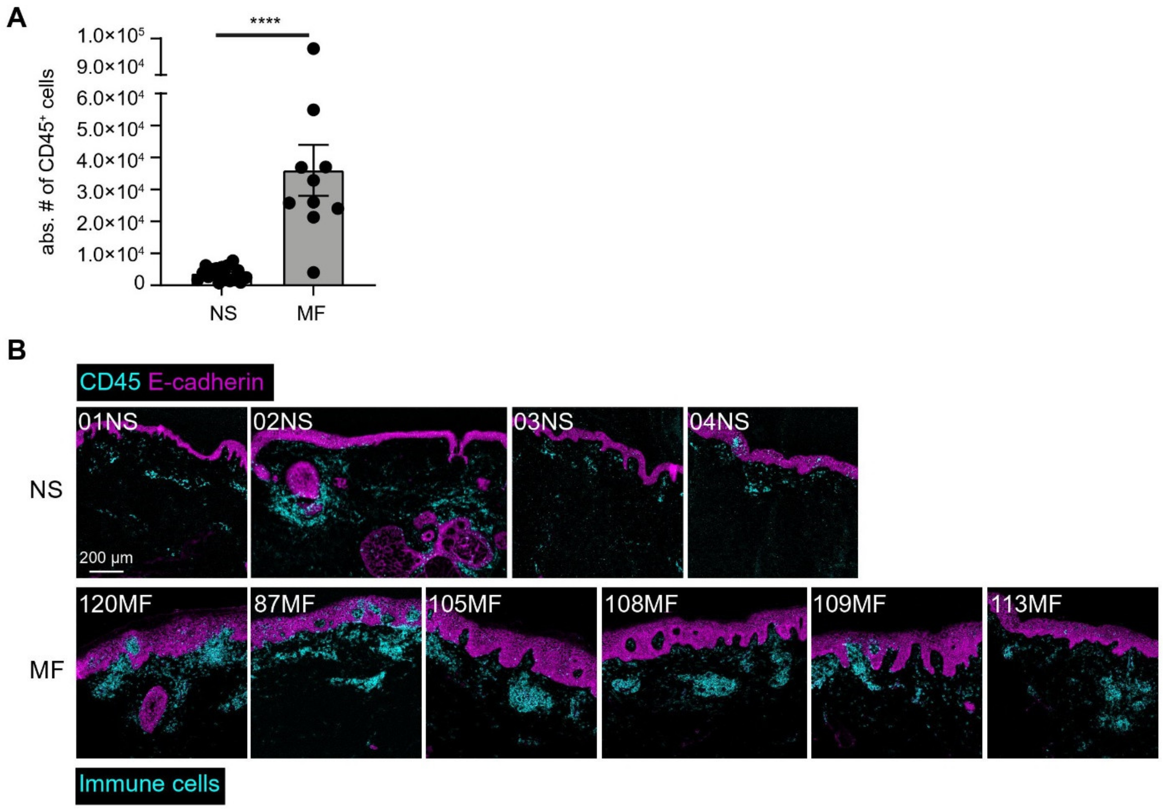 Cells 11 01062 g001 Cells 11 01062 g001