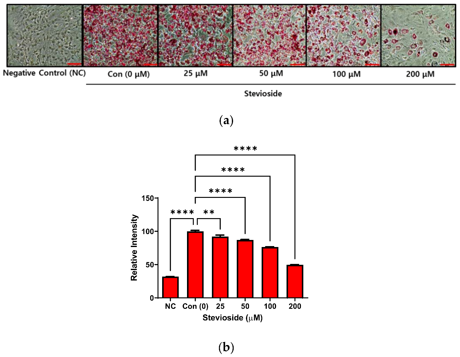 Cells 11 01076 g001 Cells 11 01076 g001