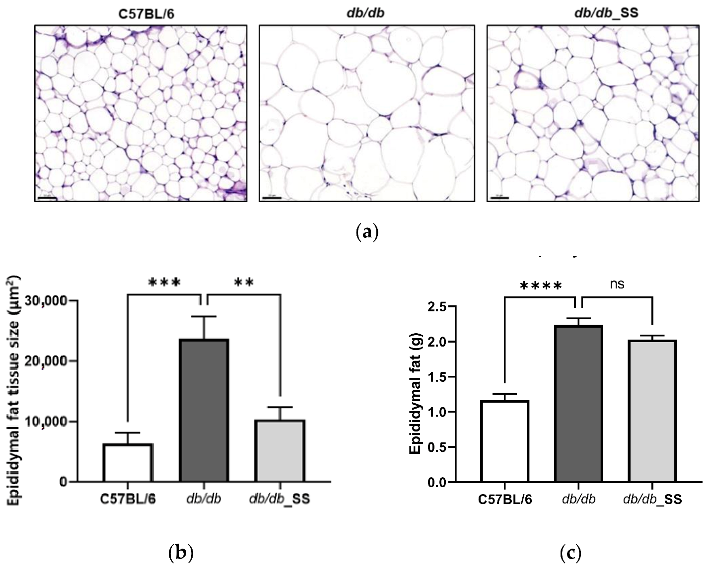Cells 11 01076 g006 Cells 11 01076 g006