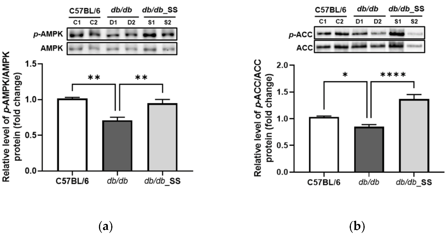 Cells 11 01076 g008 Cells 11 01076 g008