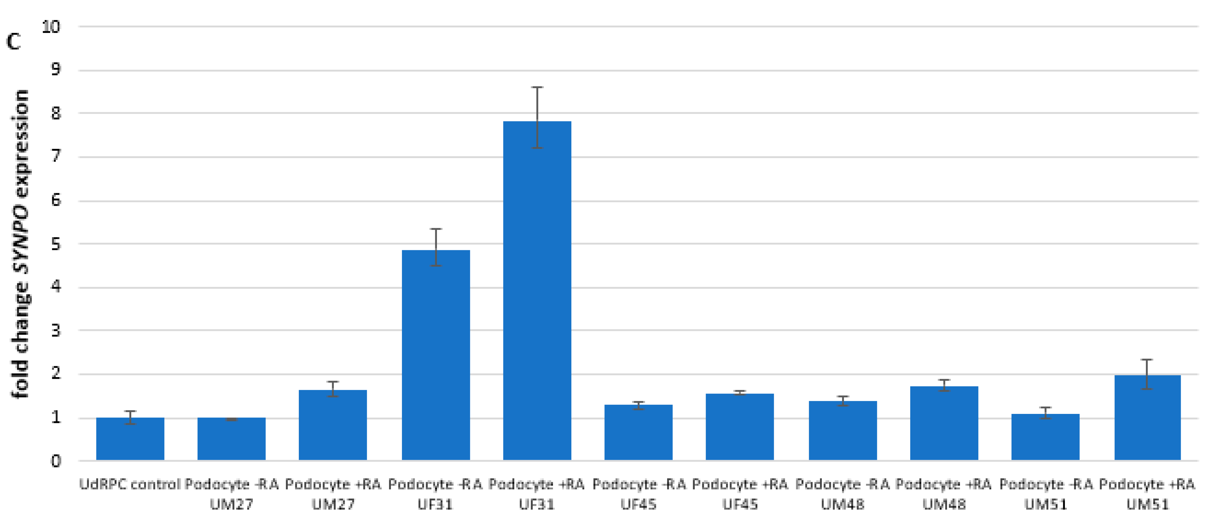 Cells 11 01095 g001b