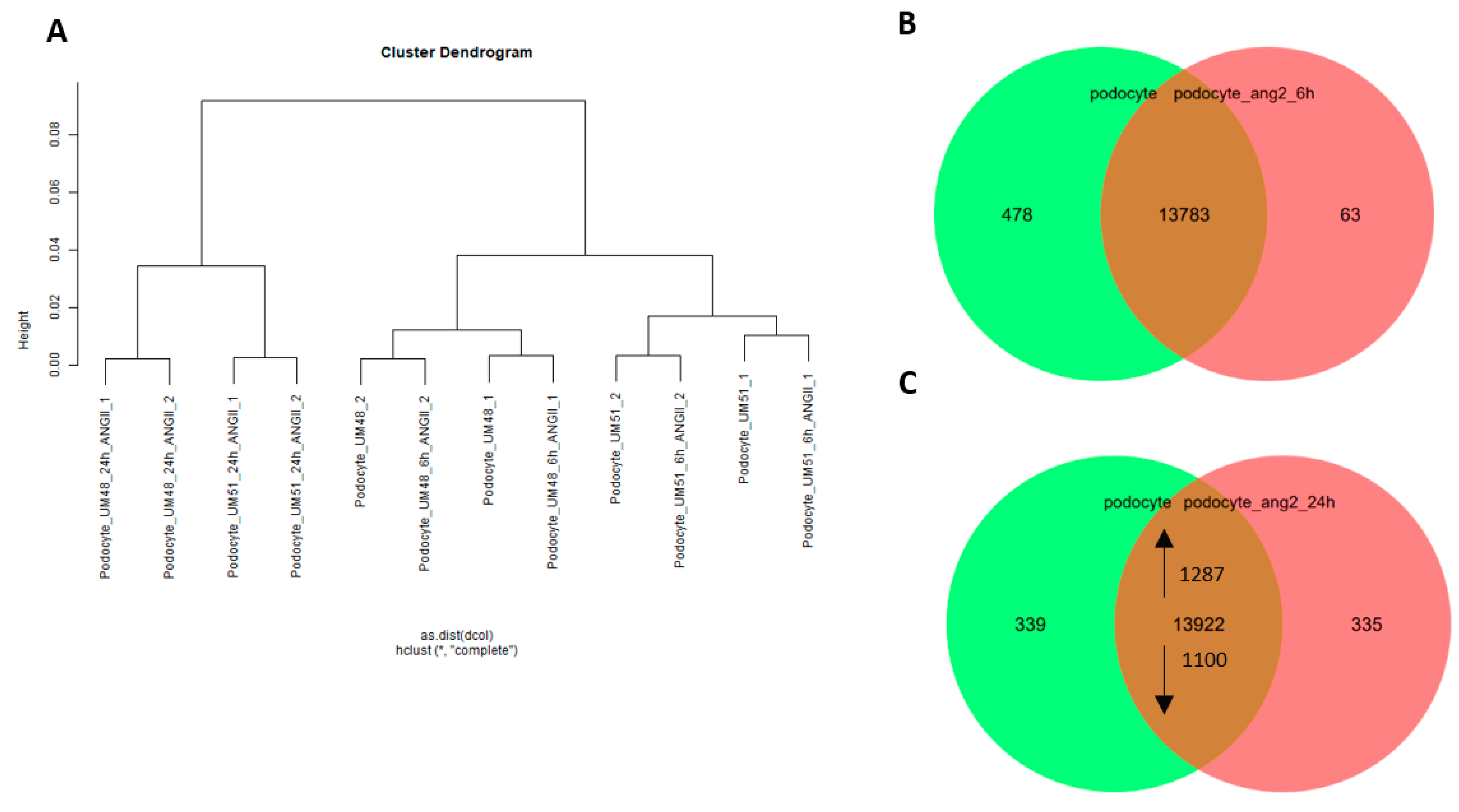 Cells 11 01095 g005a