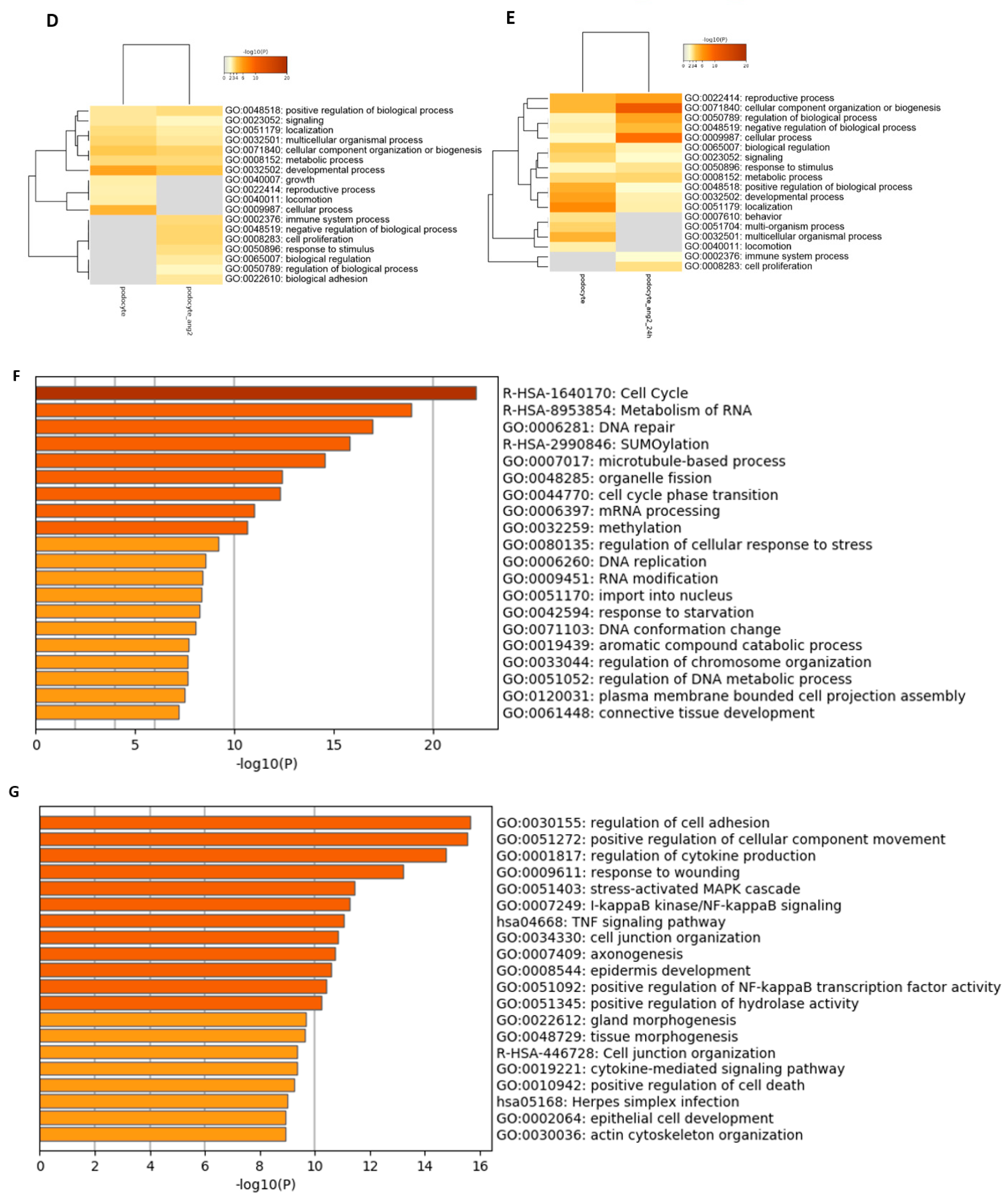Cells 11 01095 g005b