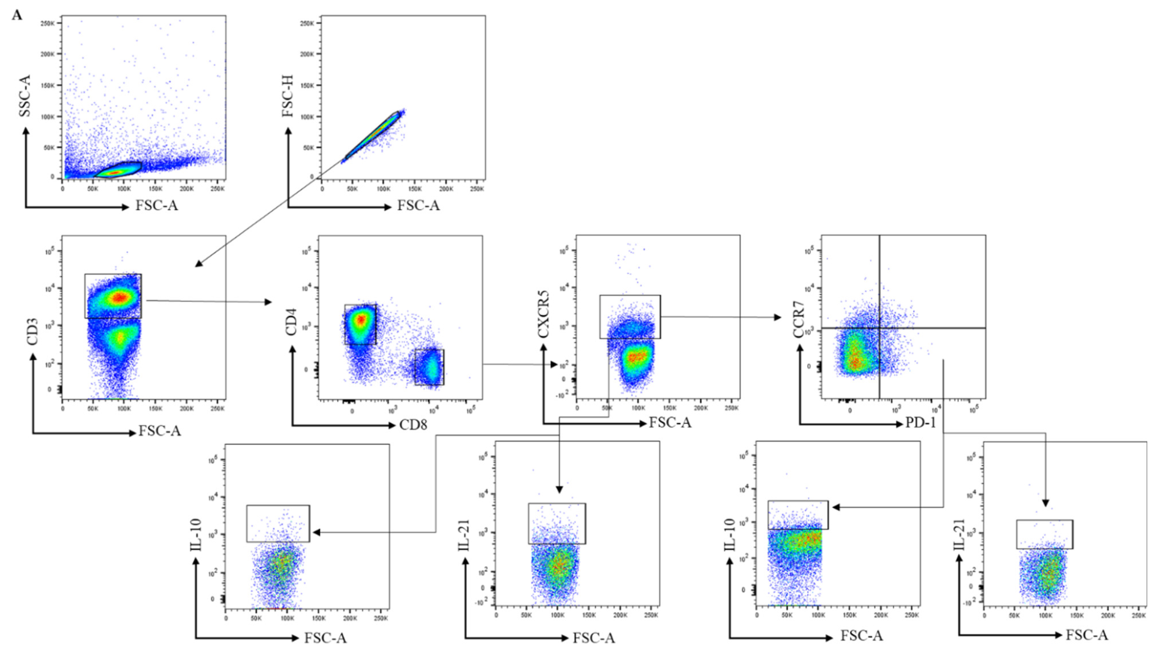 Cells 11 01104 g001a Cells 11 01104 g001a