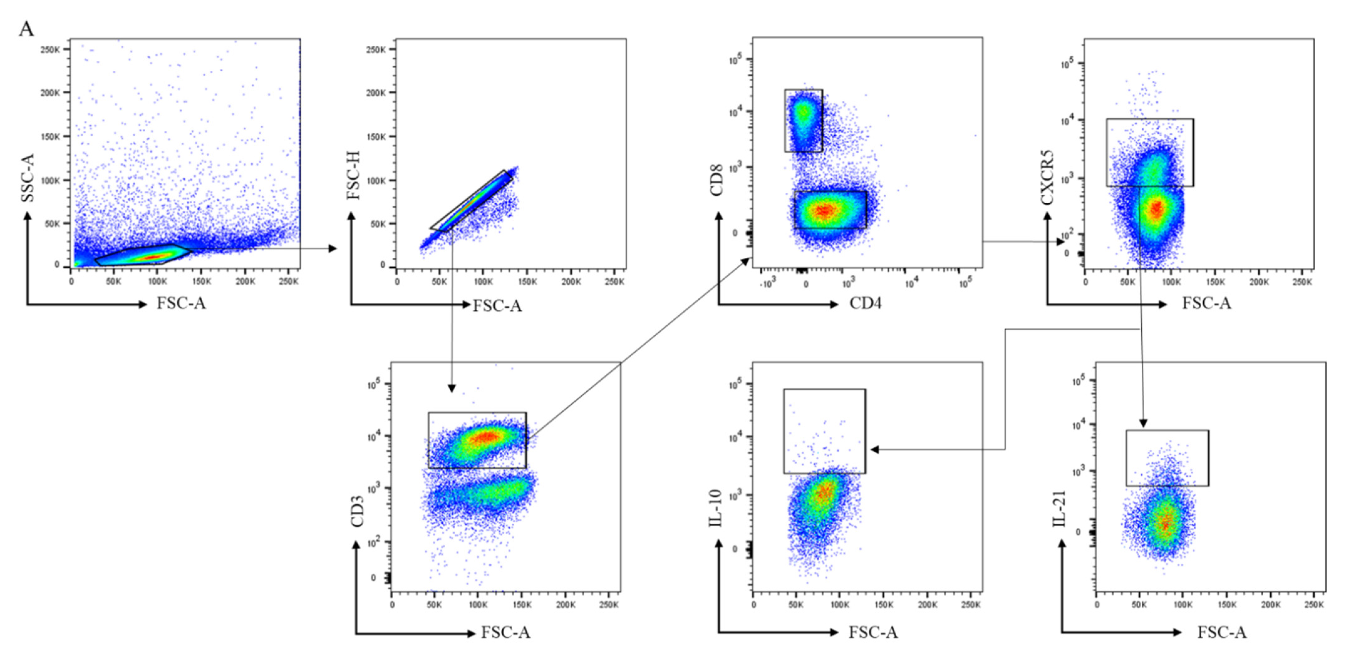 Cells 11 01104 g002a Cells 11 01104 g002a