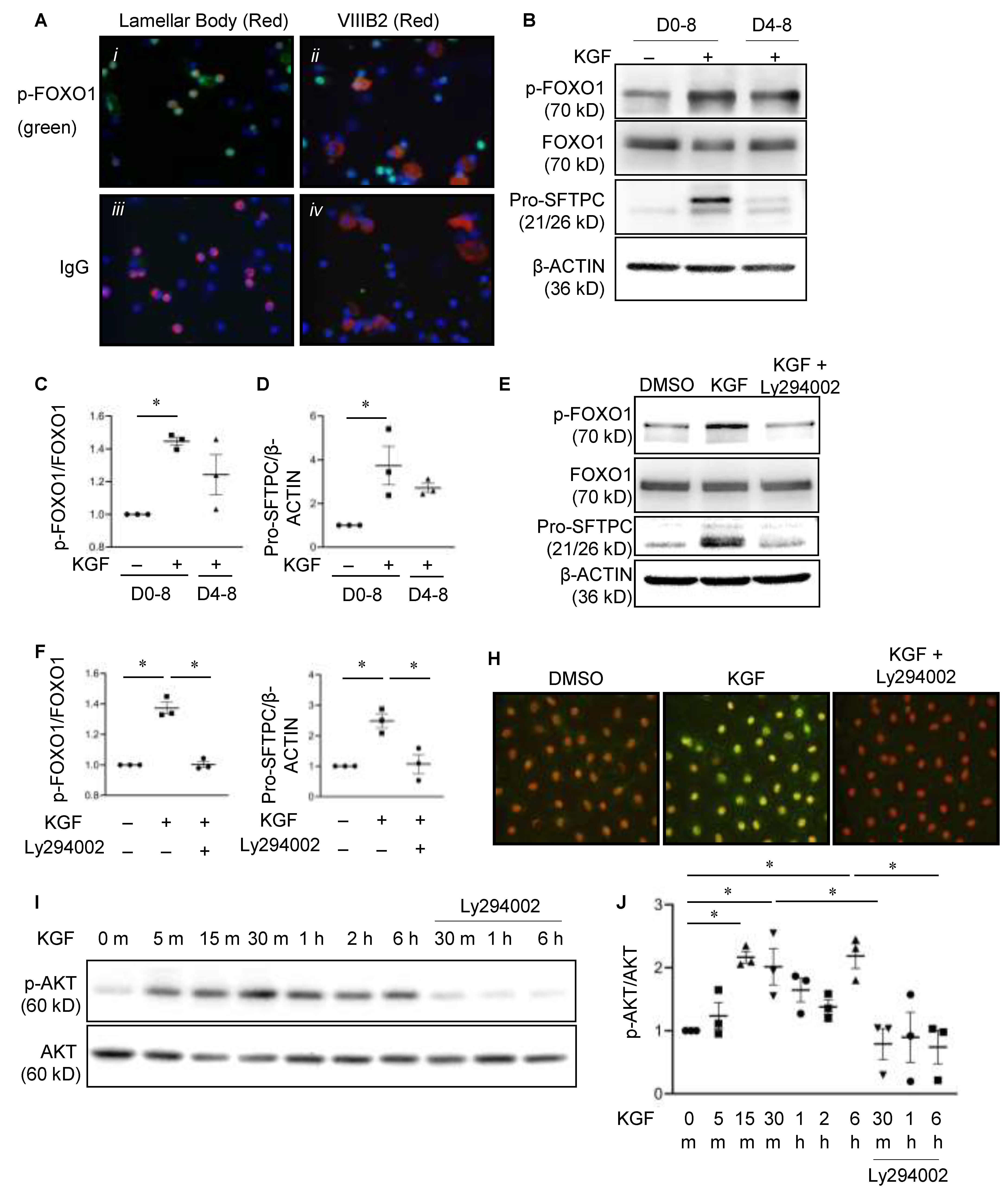 Cells 11 01122 g005 Cells 11 01122 g005