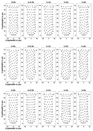 Cells 11 01143 g0a3 550