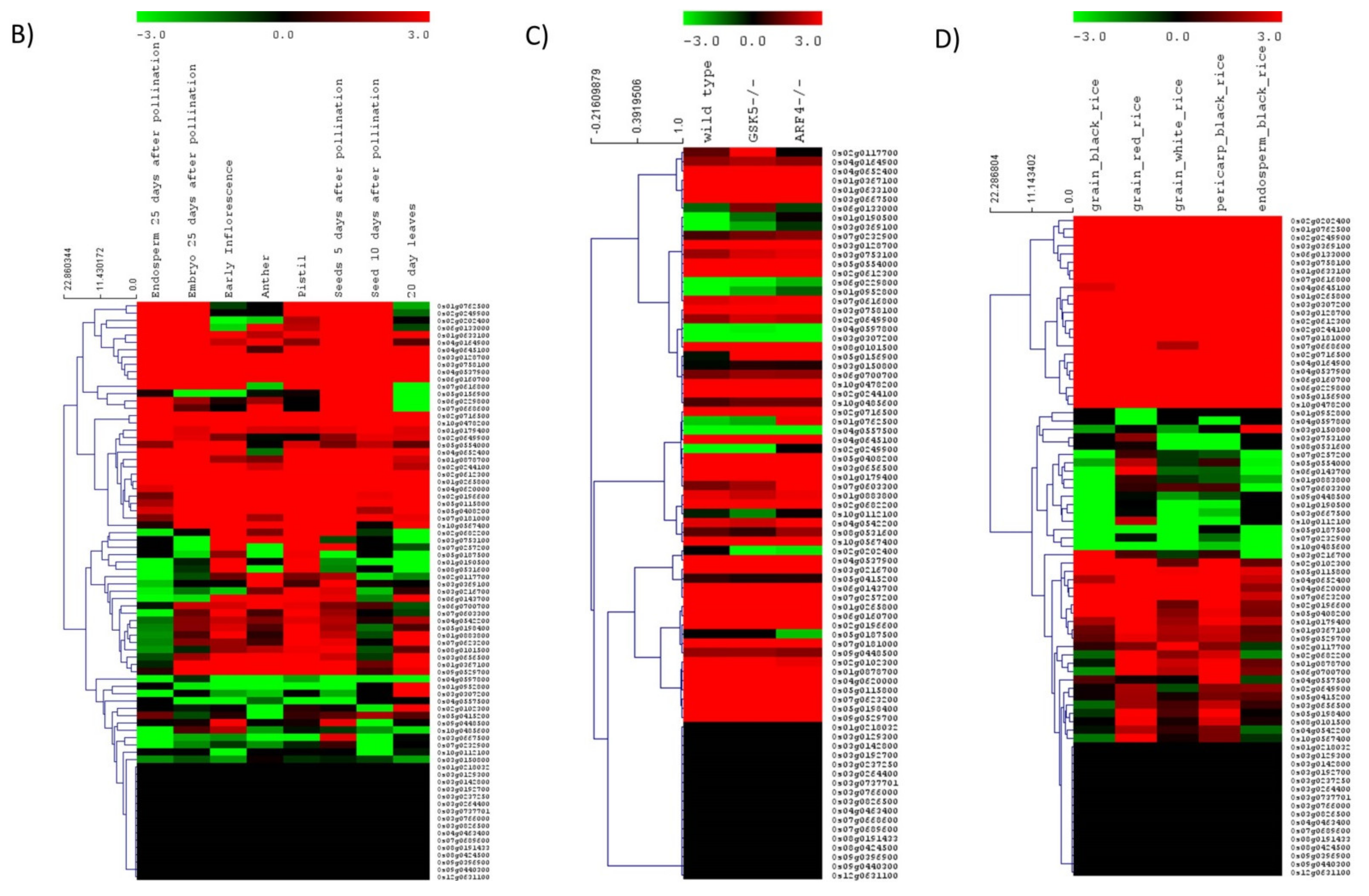 Cells 11 01144 g004b