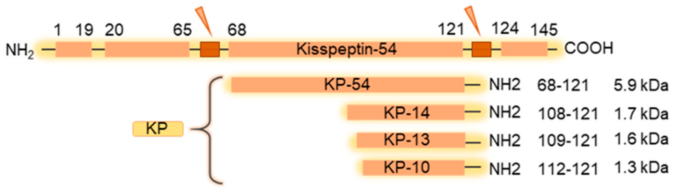 Cells 11 01146 g001 Cells 11 01146 g001