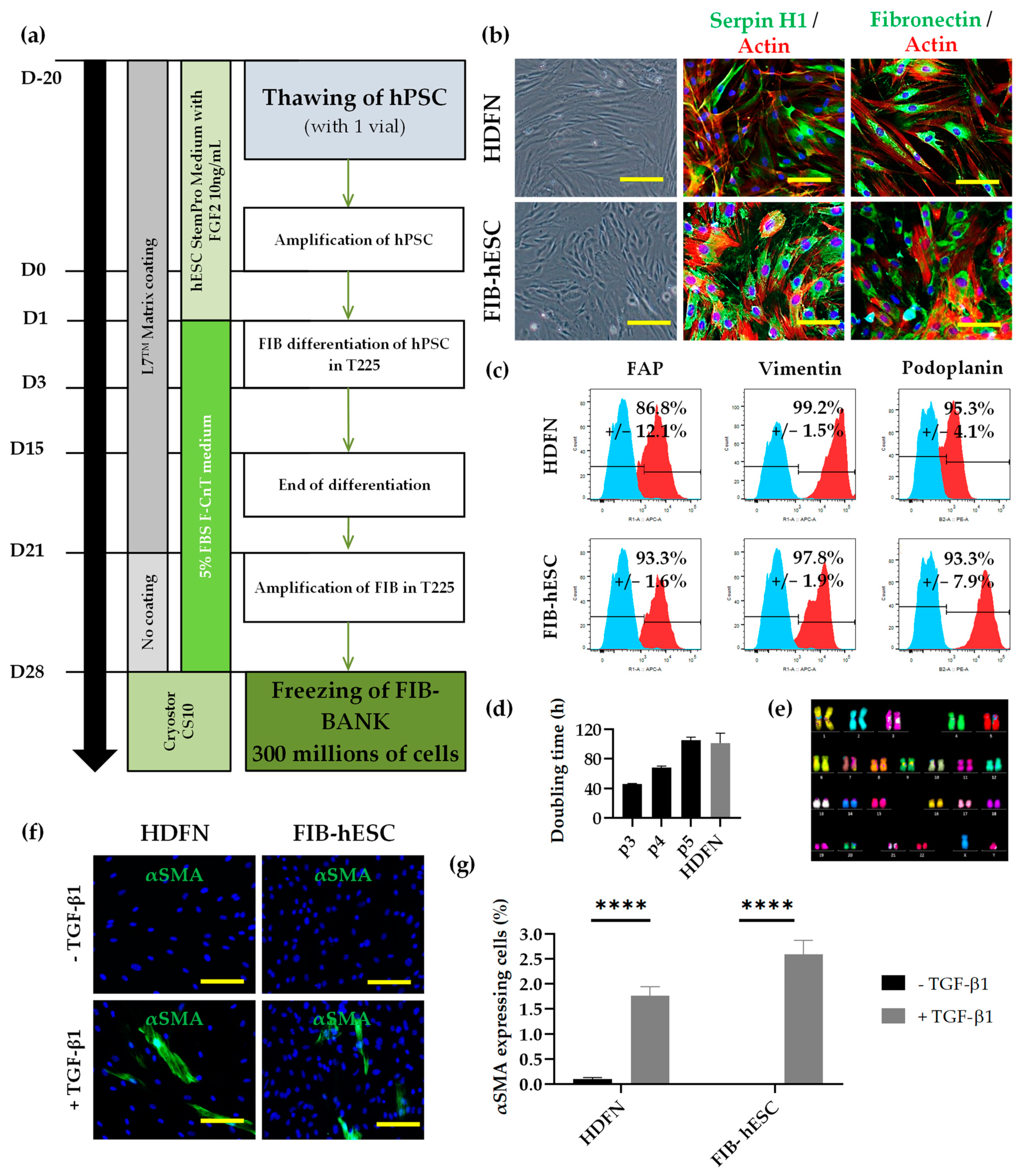Cells 11 01151 g002