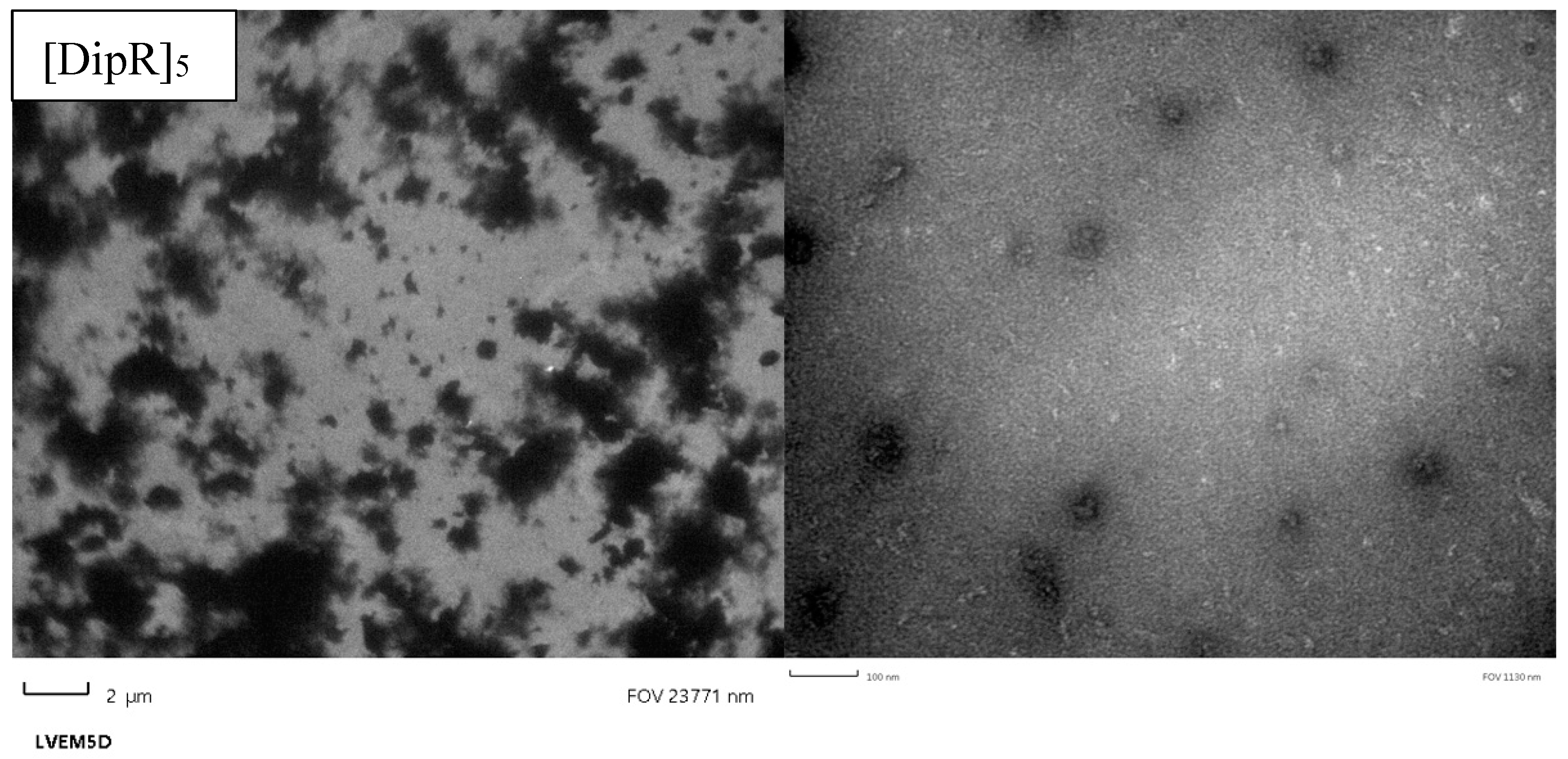 Cells 11 01156 g012b