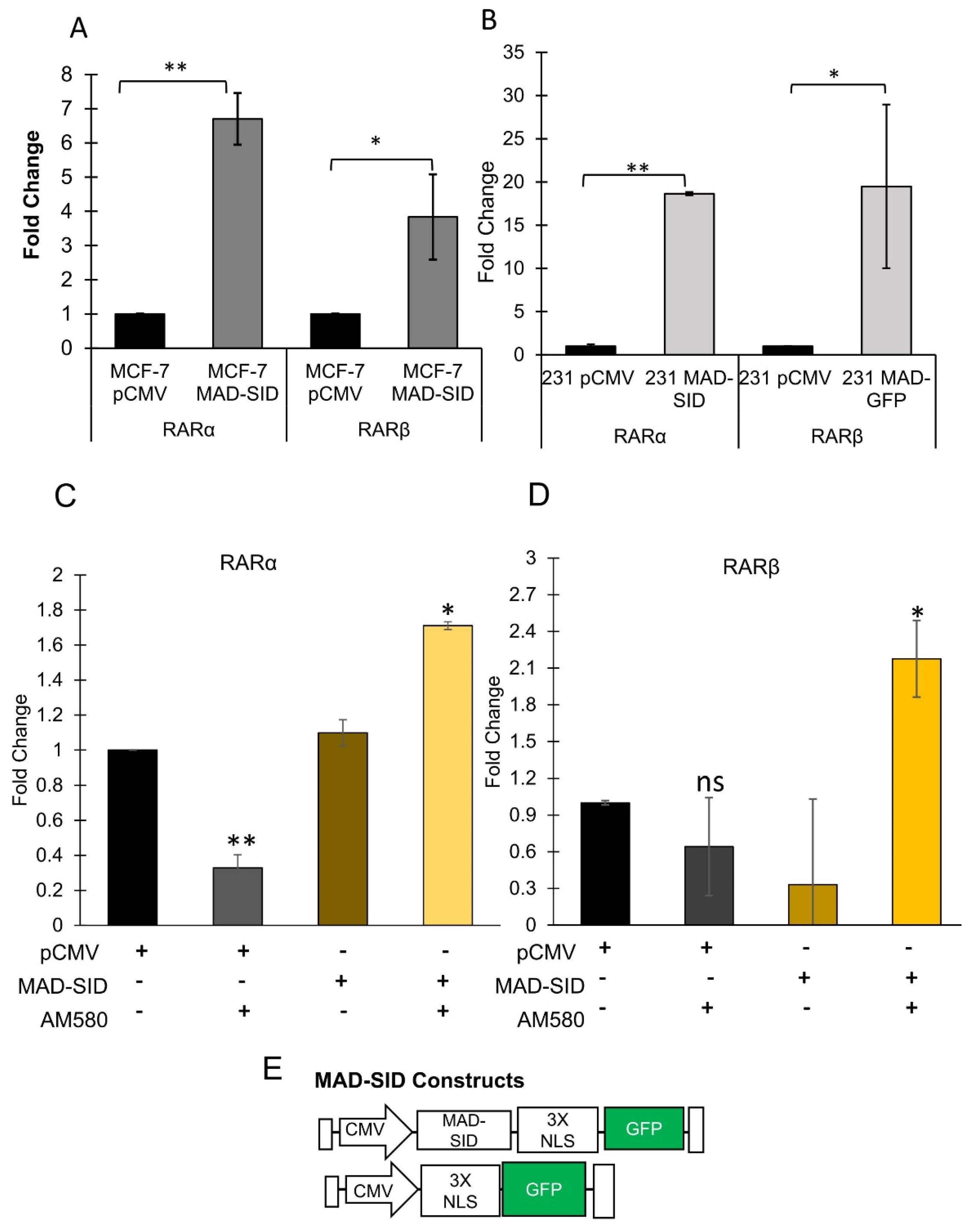 Cells 11 01179 g001 Cells 11 01179 g001