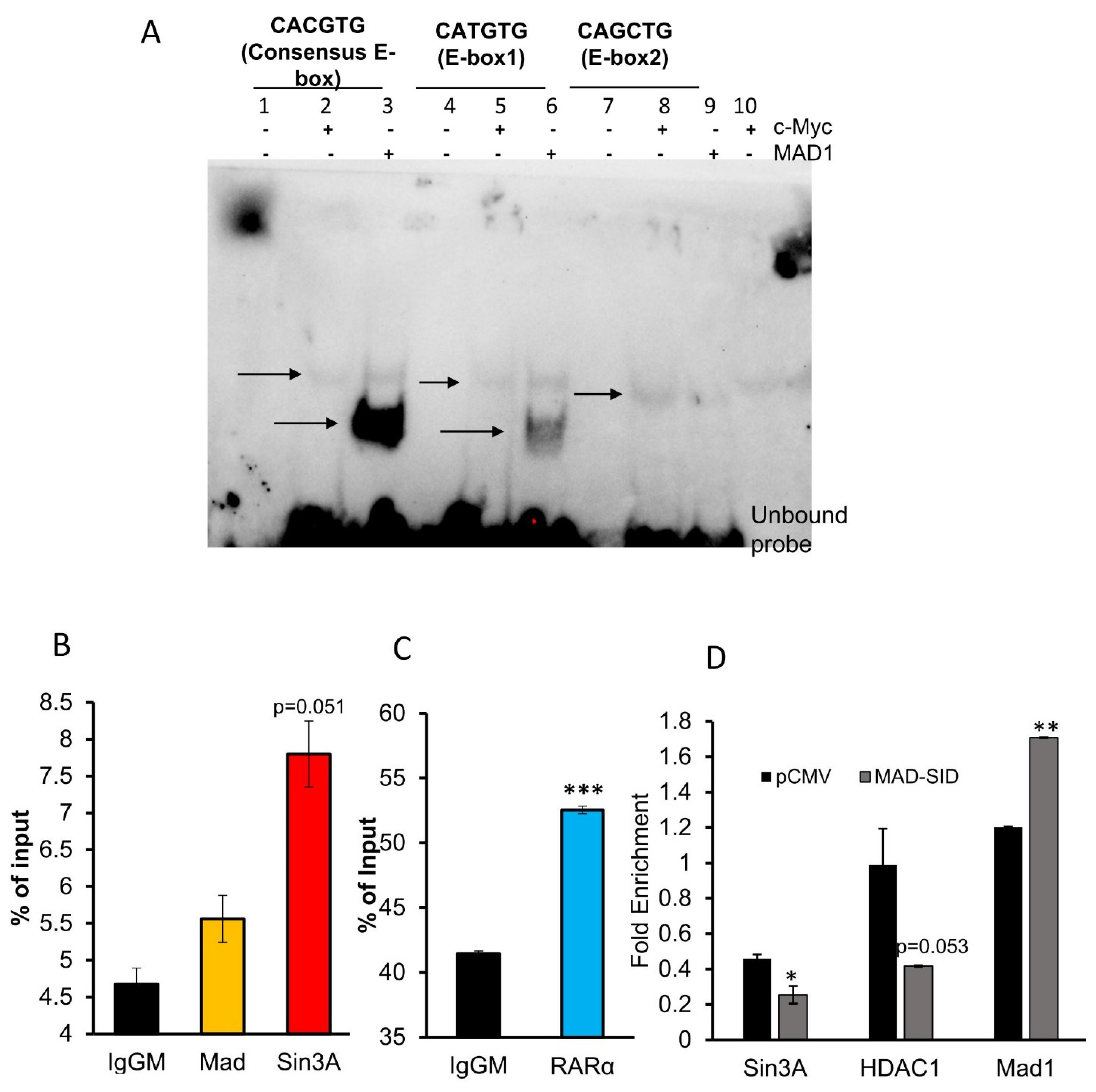 Cells 11 01179 g003 Cells 11 01179 g003