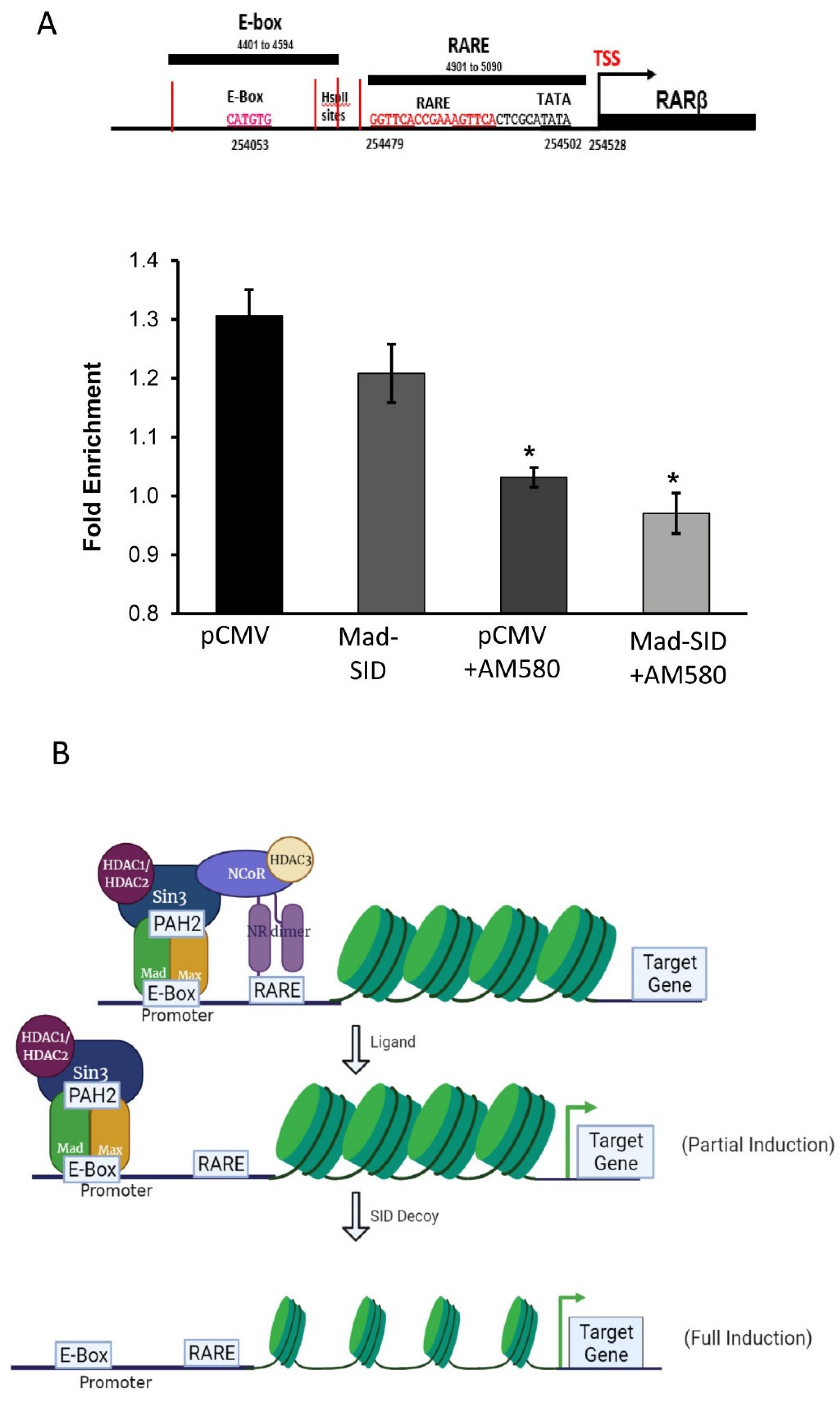 Cells 11 01179 g005 Cells 11 01179 g005