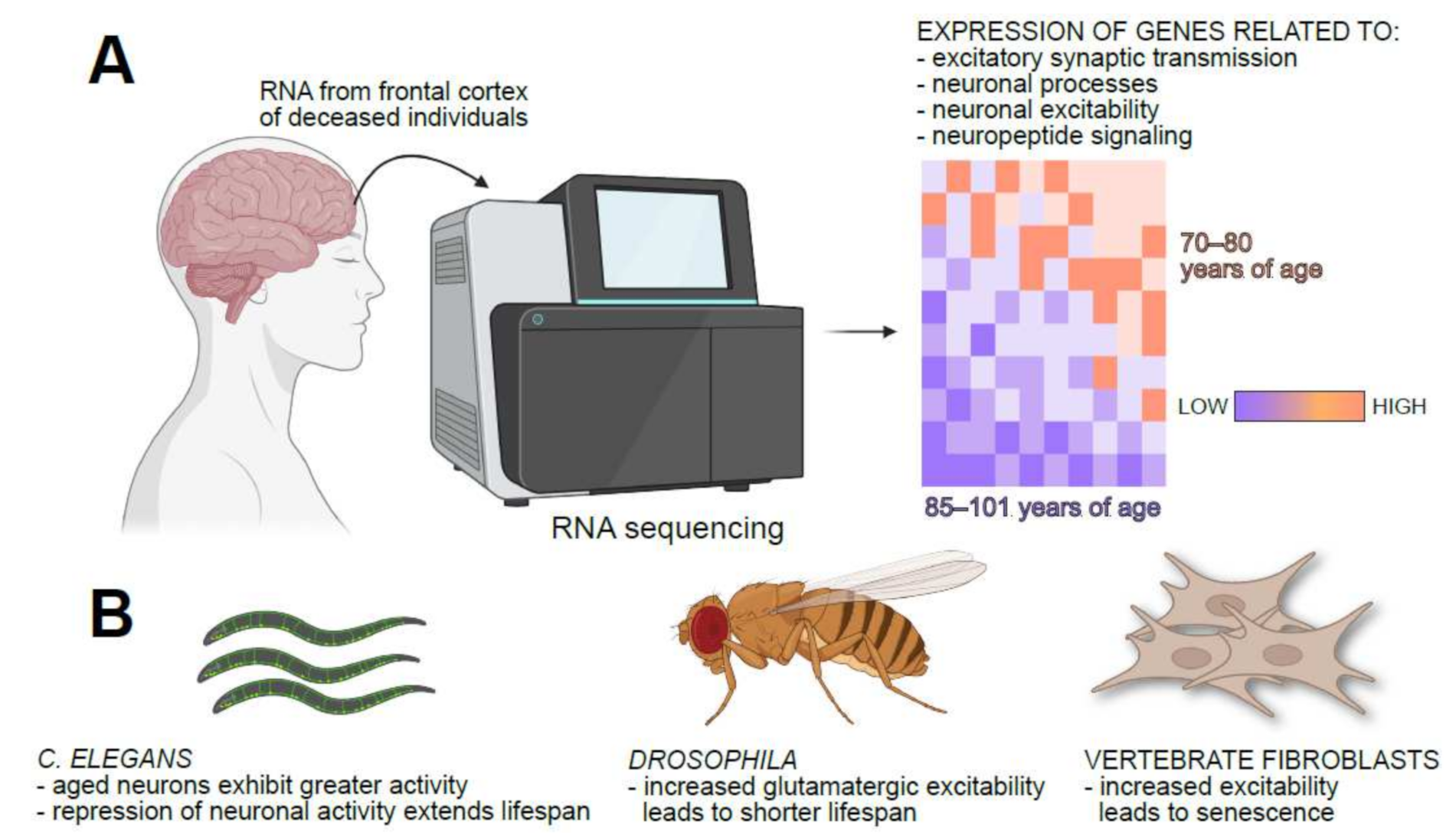 Cells 11 01180 g001 Cells 11 01180 g001