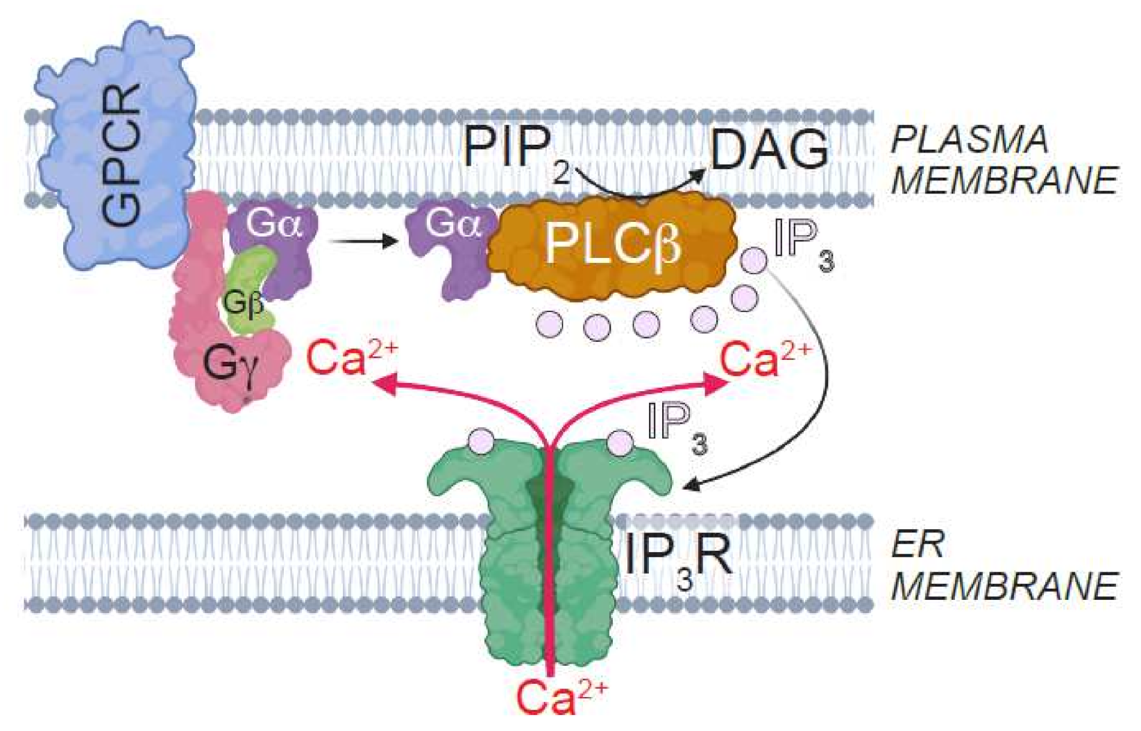 Cells 11 01180 g002 Cells 11 01180 g002