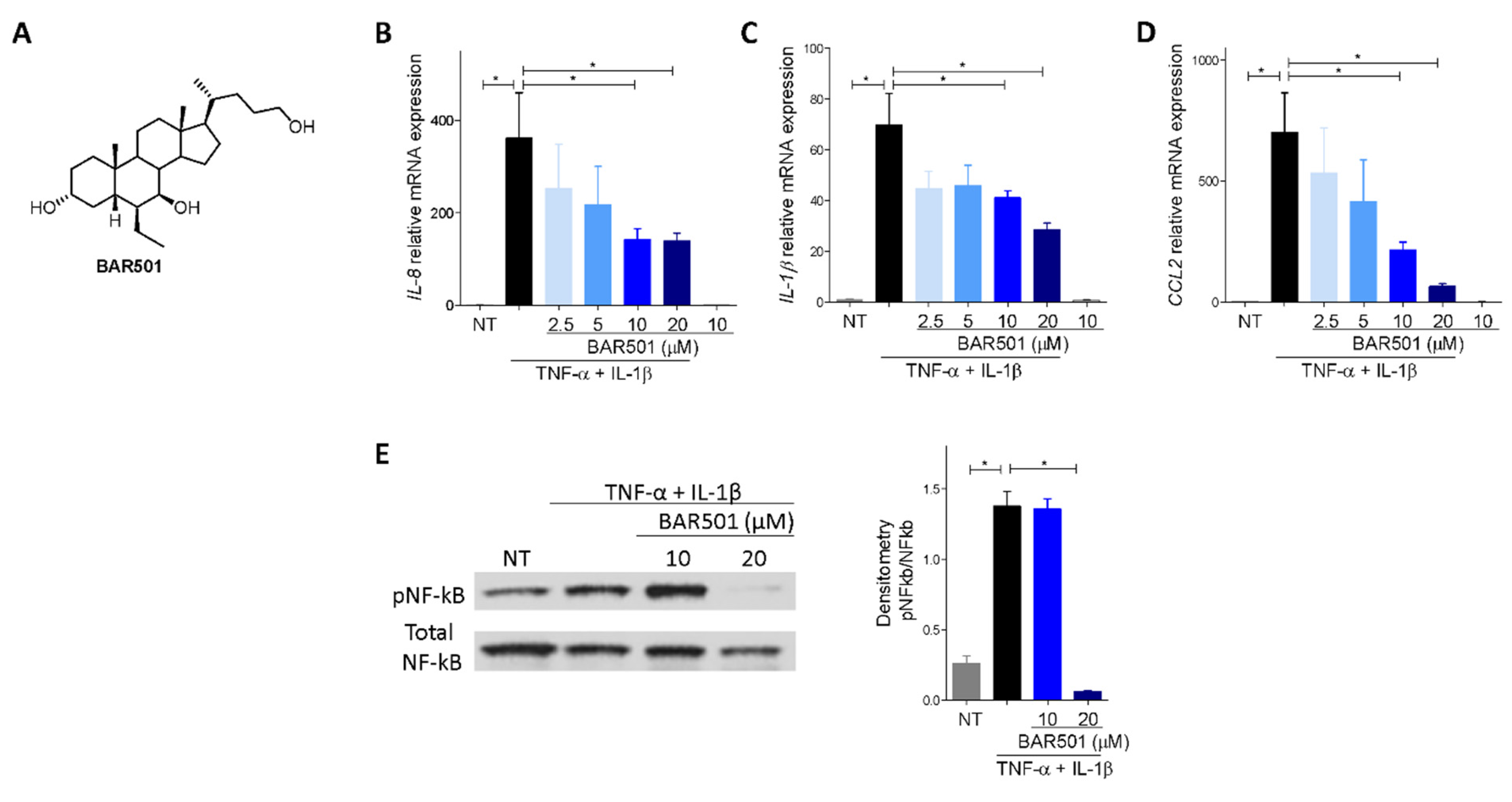 Cells 11 01187 g007 Cells 11 01187 g007
