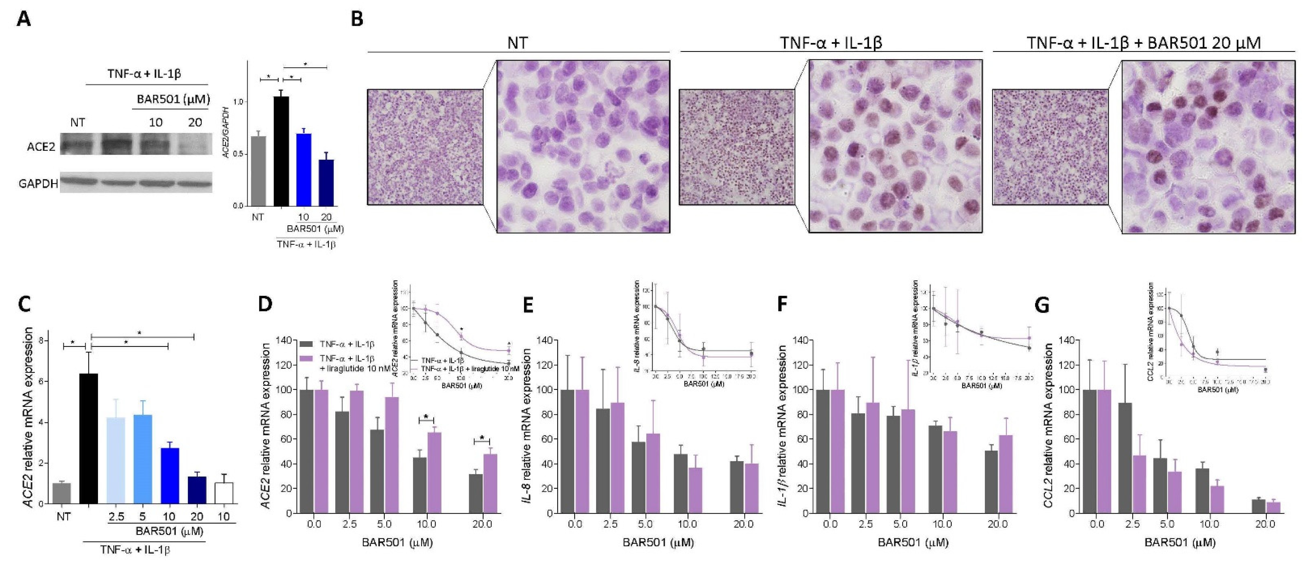 Cells 11 01187 g008 Cells 11 01187 g008